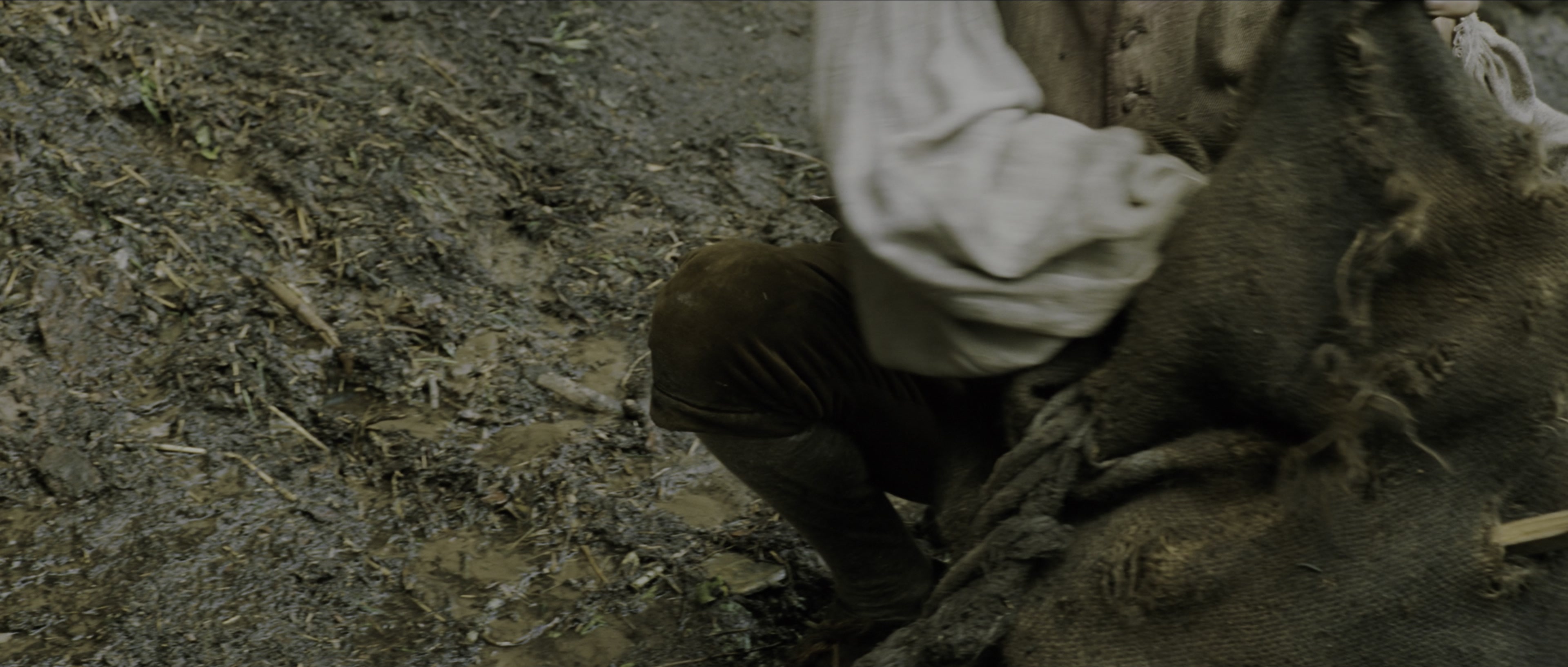 Perfume: The Story of a Murderer (2006), wide, 2.35:1 — film still