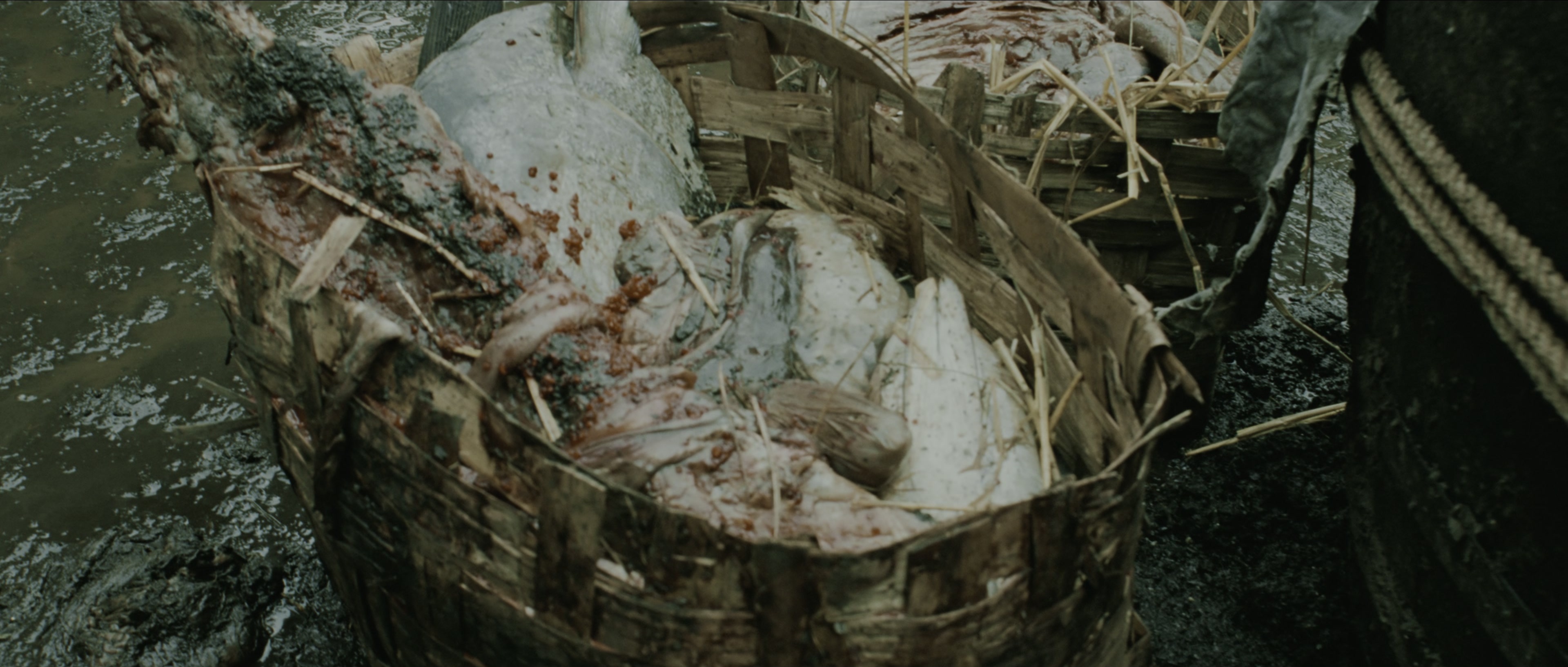 Perfume: The Story of a Murderer (2006), wide, 2.35:1 — film still