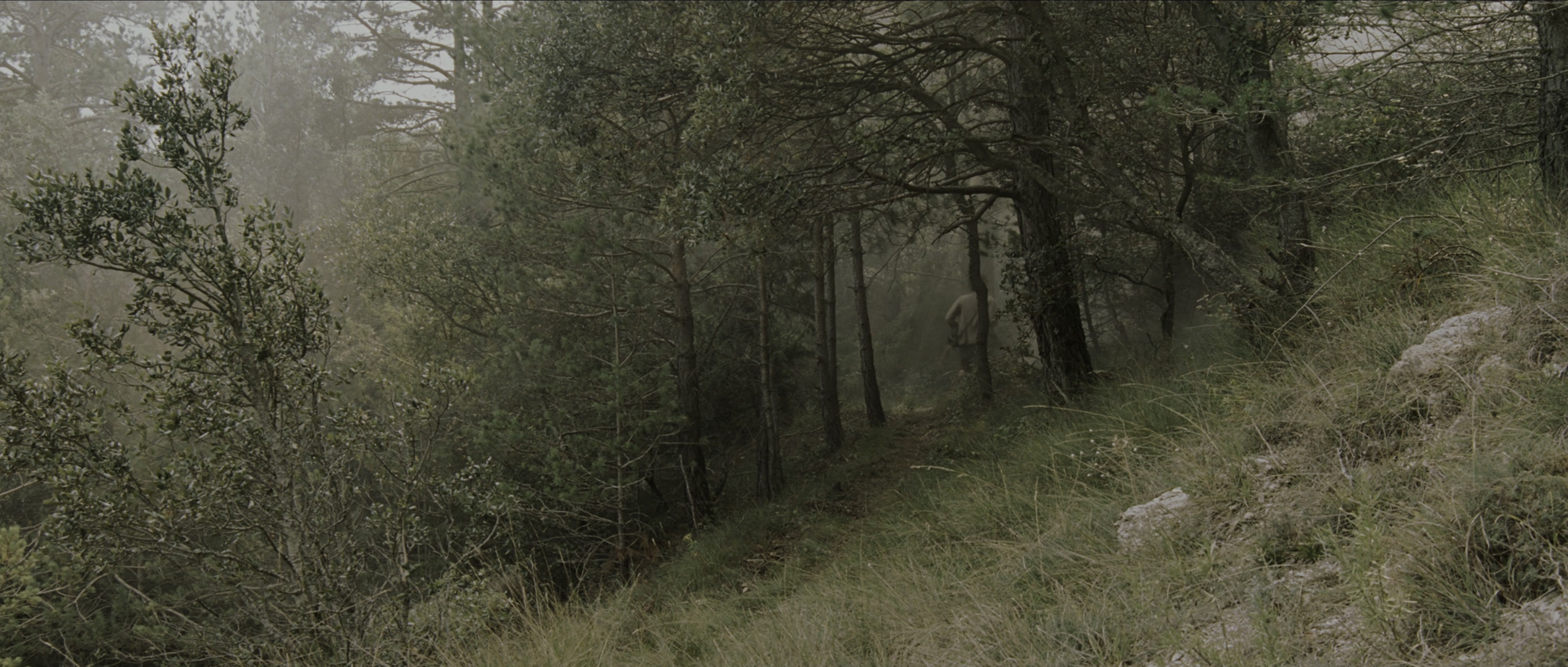 Perfume: The Story of a Murderer (2006), wide, 2.35:1 — film still