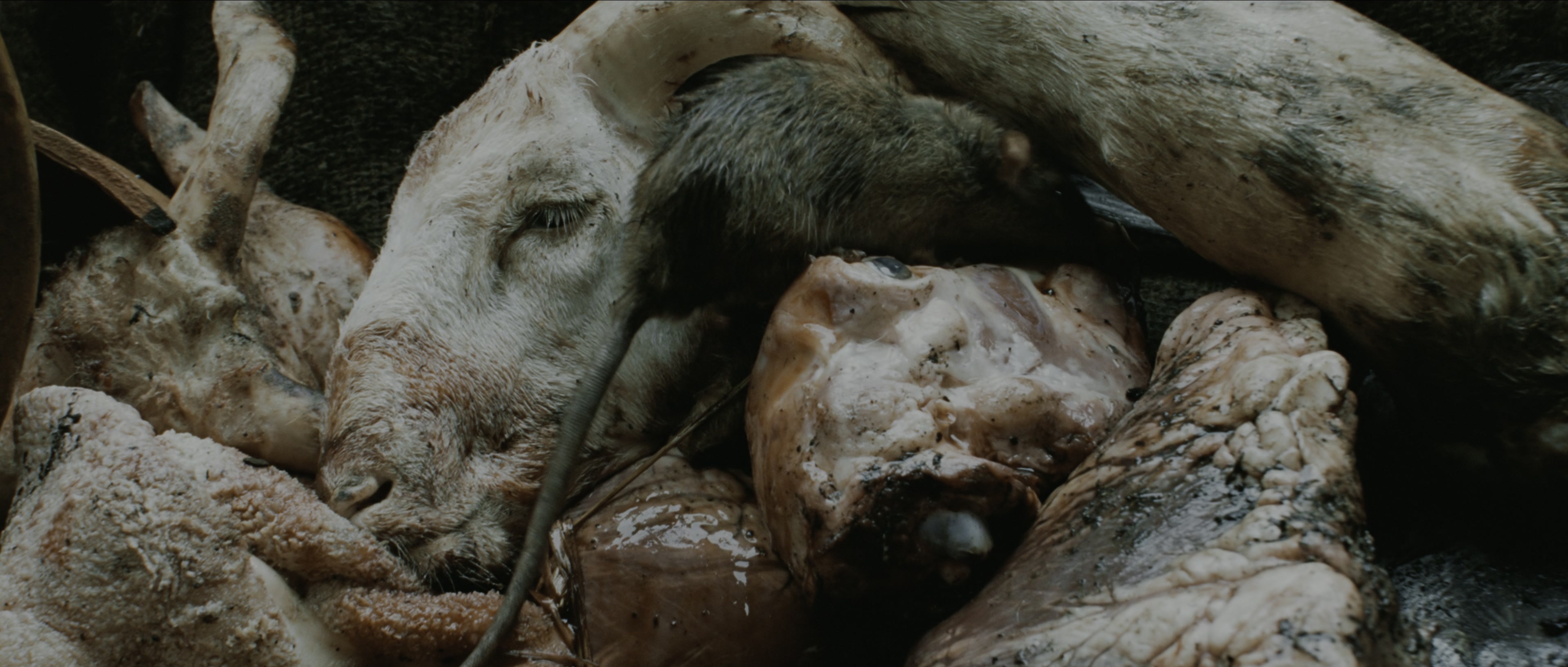 Perfume: The Story of a Murderer (2006), wide, 2.35:1 — film still