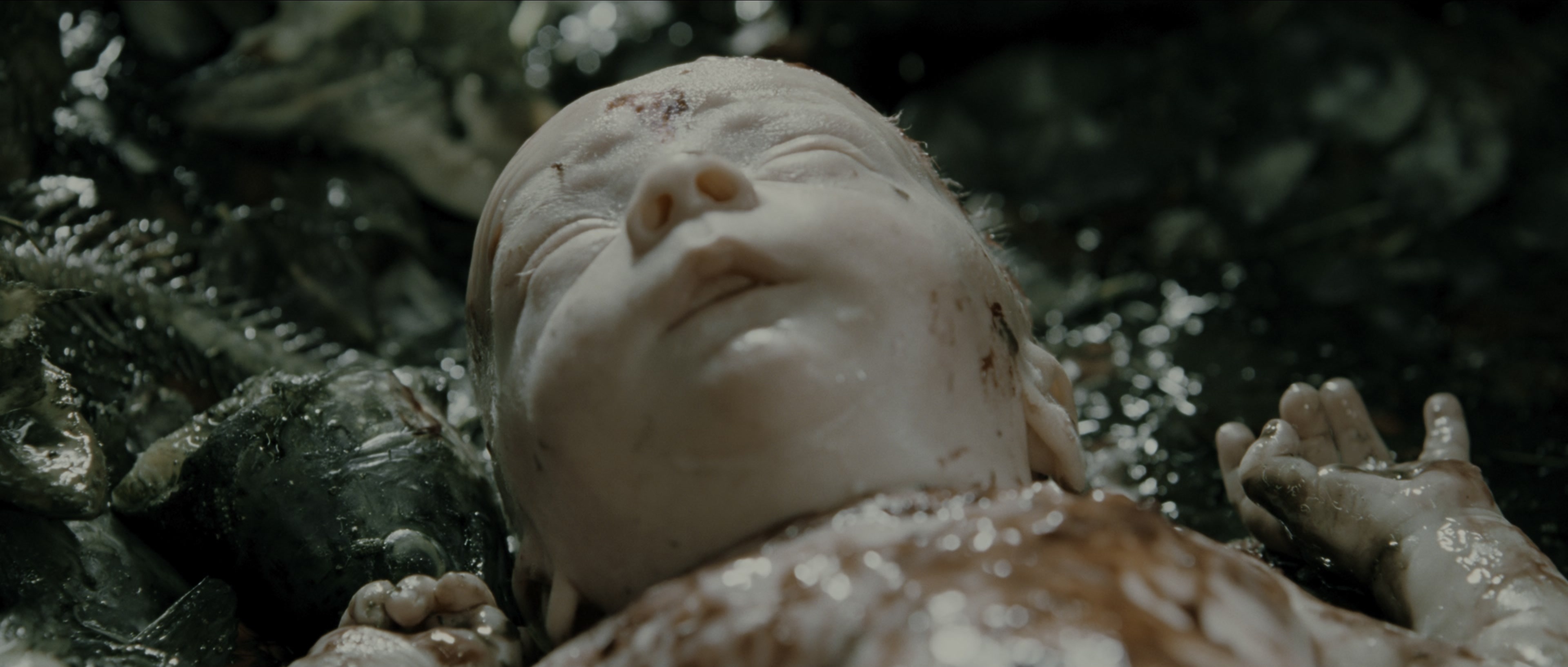 Perfume: The Story of a Murderer (2006), wide, 2.35:1 — film still