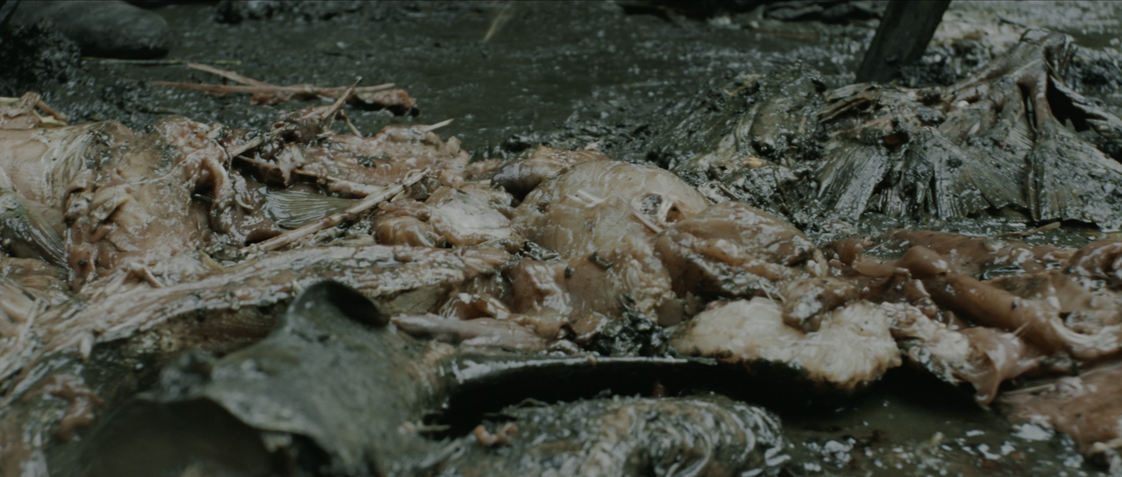 Perfume: The Story of a Murderer (2006), wide, 2.35:1 — film still