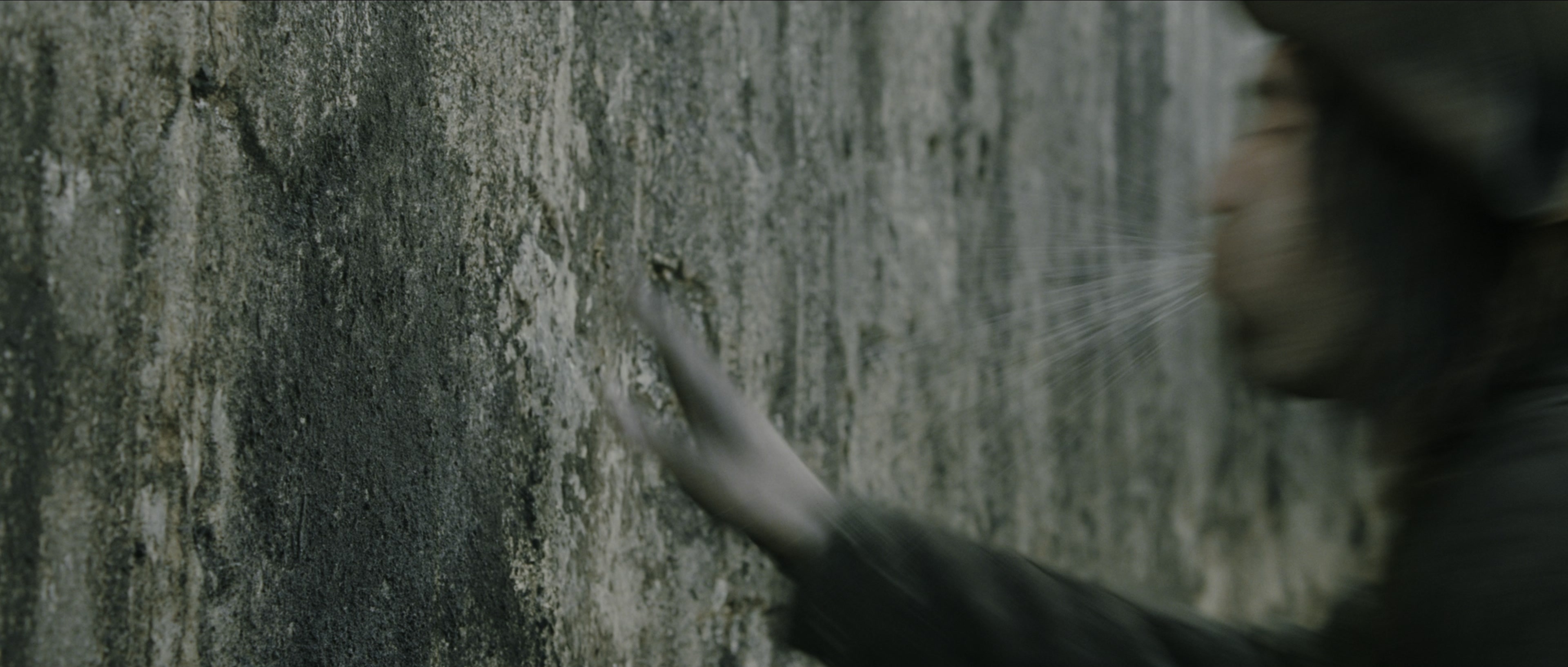 Perfume: The Story of a Murderer (2006), wide, 2.35:1 — film still