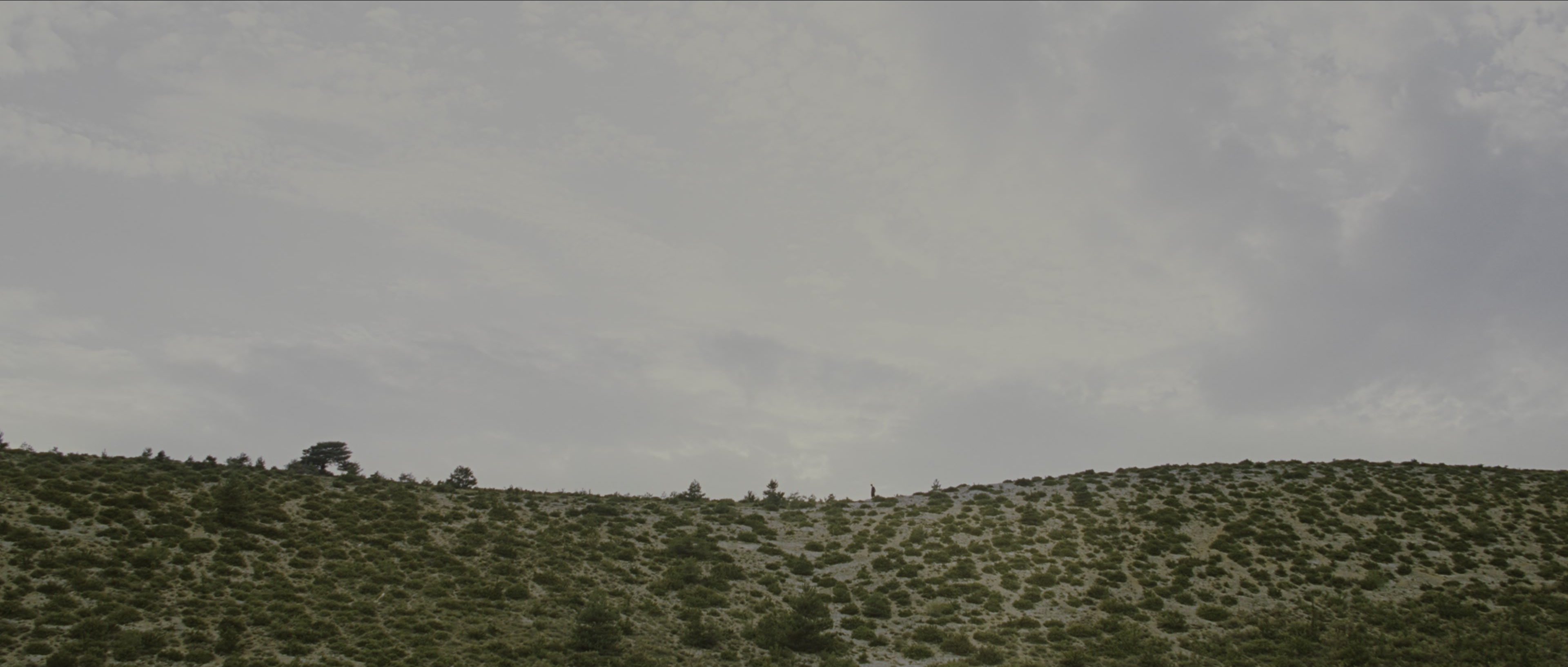 Perfume: The Story of a Murderer (2006), wide, 2.35:1 — film still