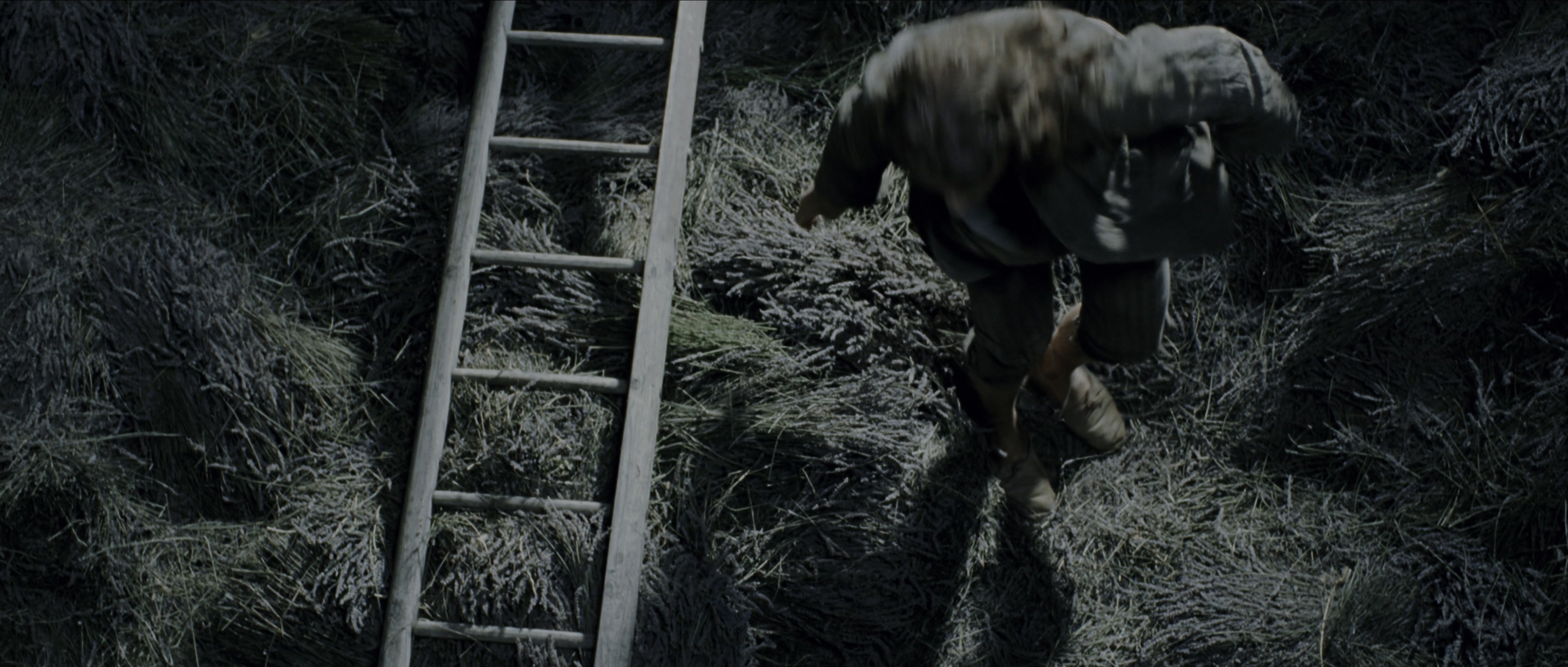 Perfume: The Story of a Murderer (2006), wide, 2.35:1 — film still