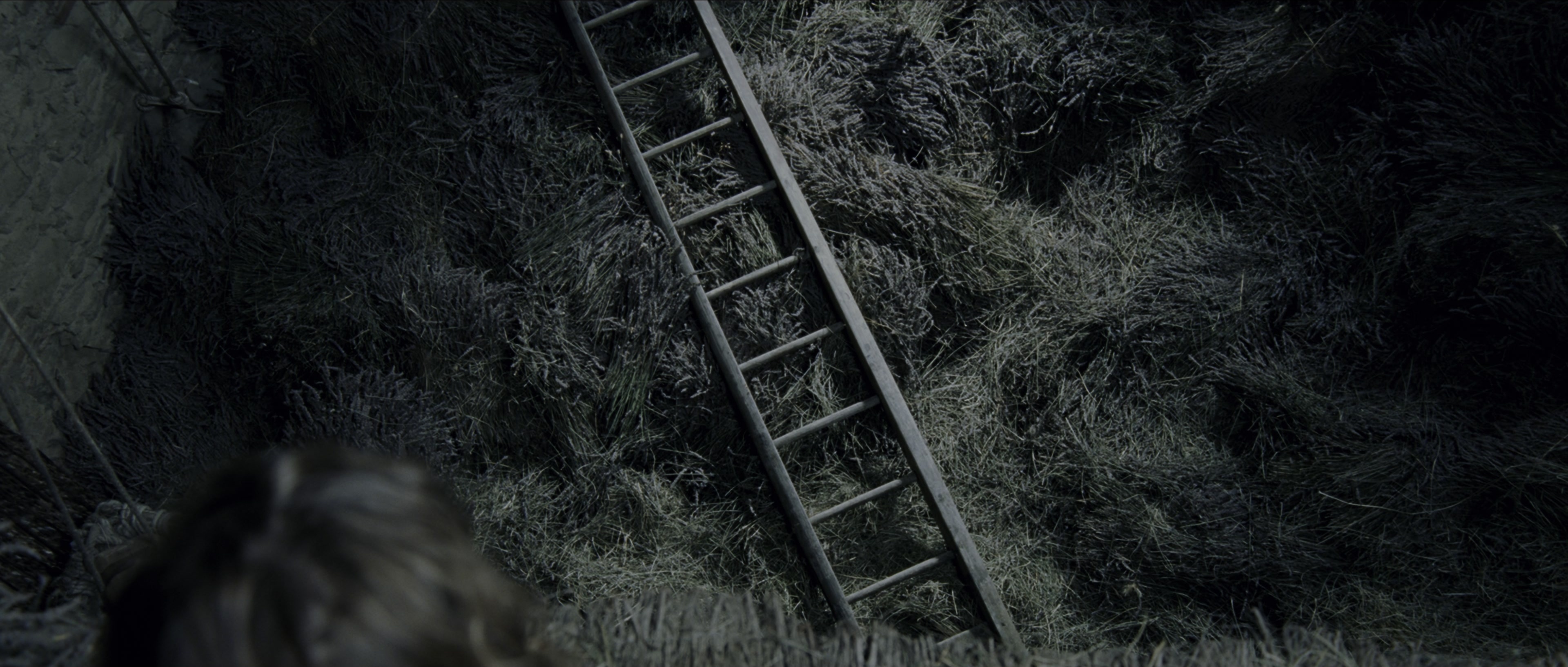 Perfume: The Story of a Murderer (2006), wide, 2.35:1 — film still