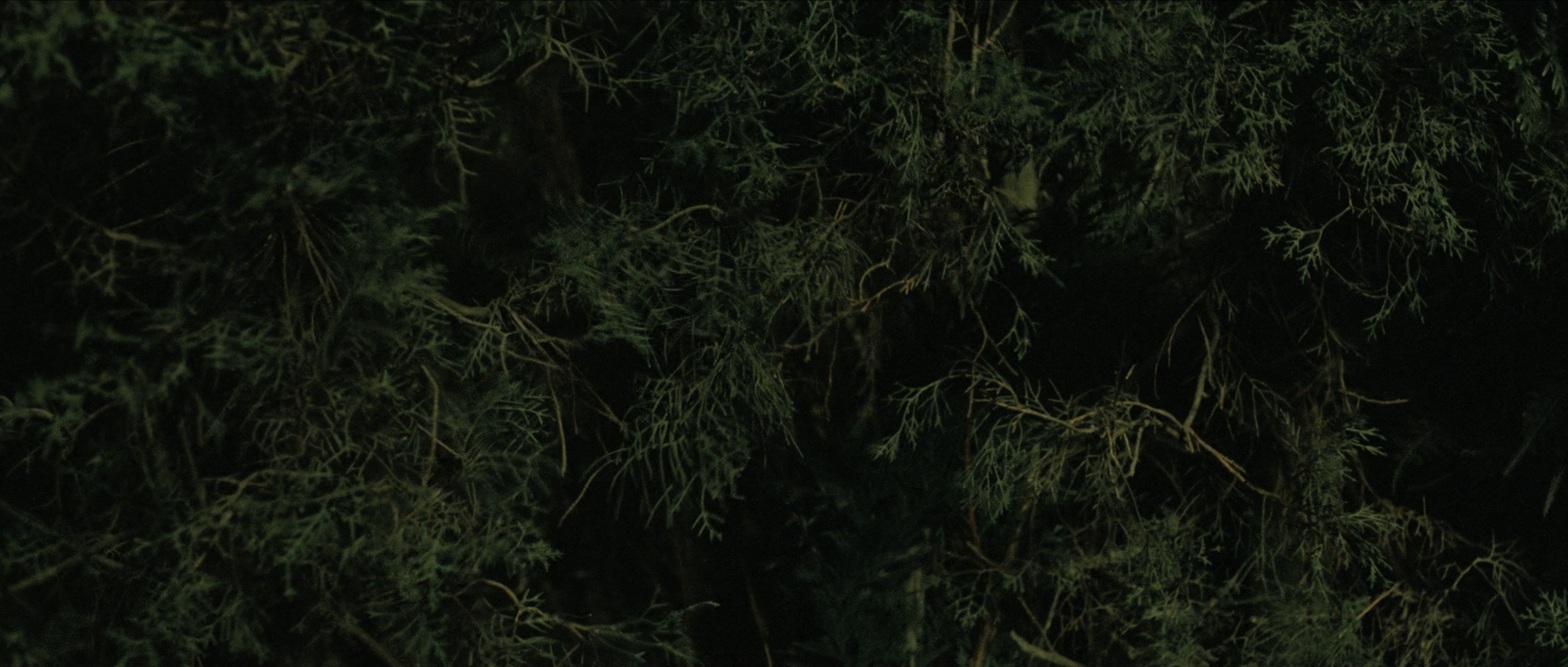 Perfume: The Story of a Murderer (2006), wide, 2.35:1 — film still