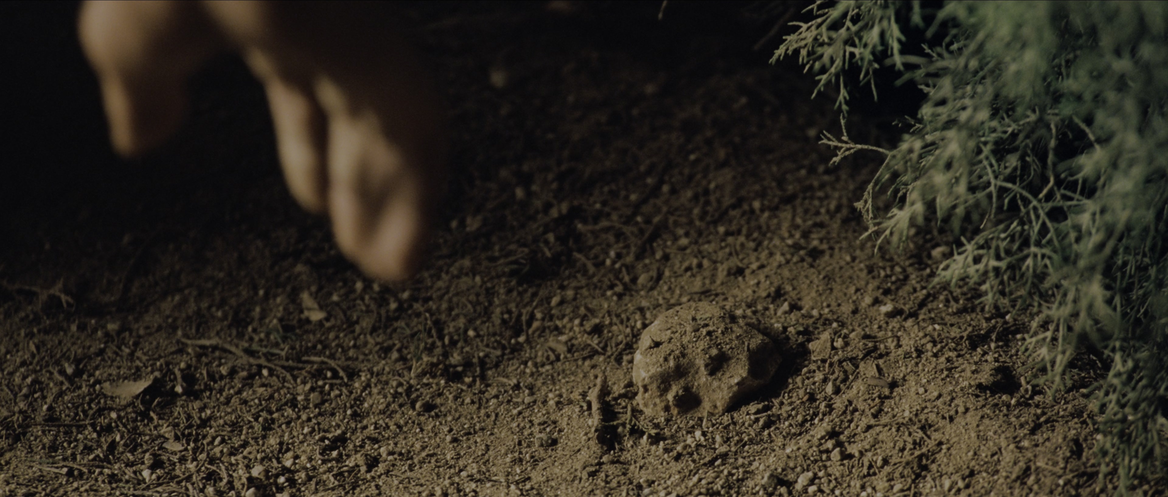 Perfume: The Story of a Murderer (2006), wide, 2.35:1 — film still