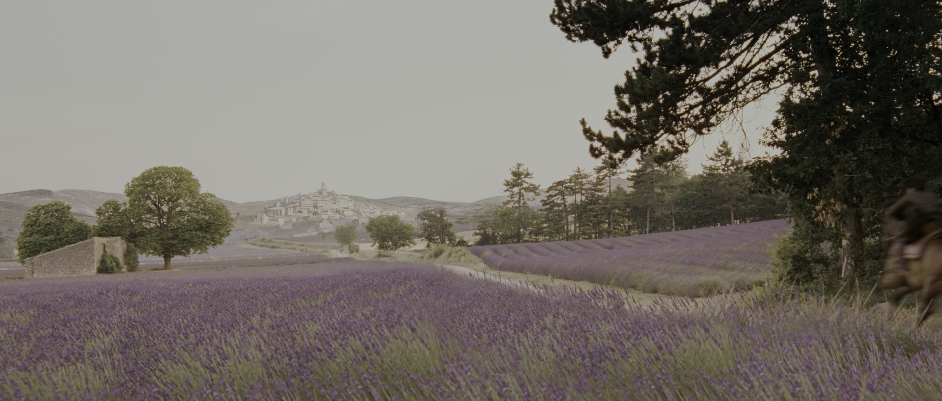 Perfume: The Story of a Murderer (2006), wide, 2.35:1 — film still