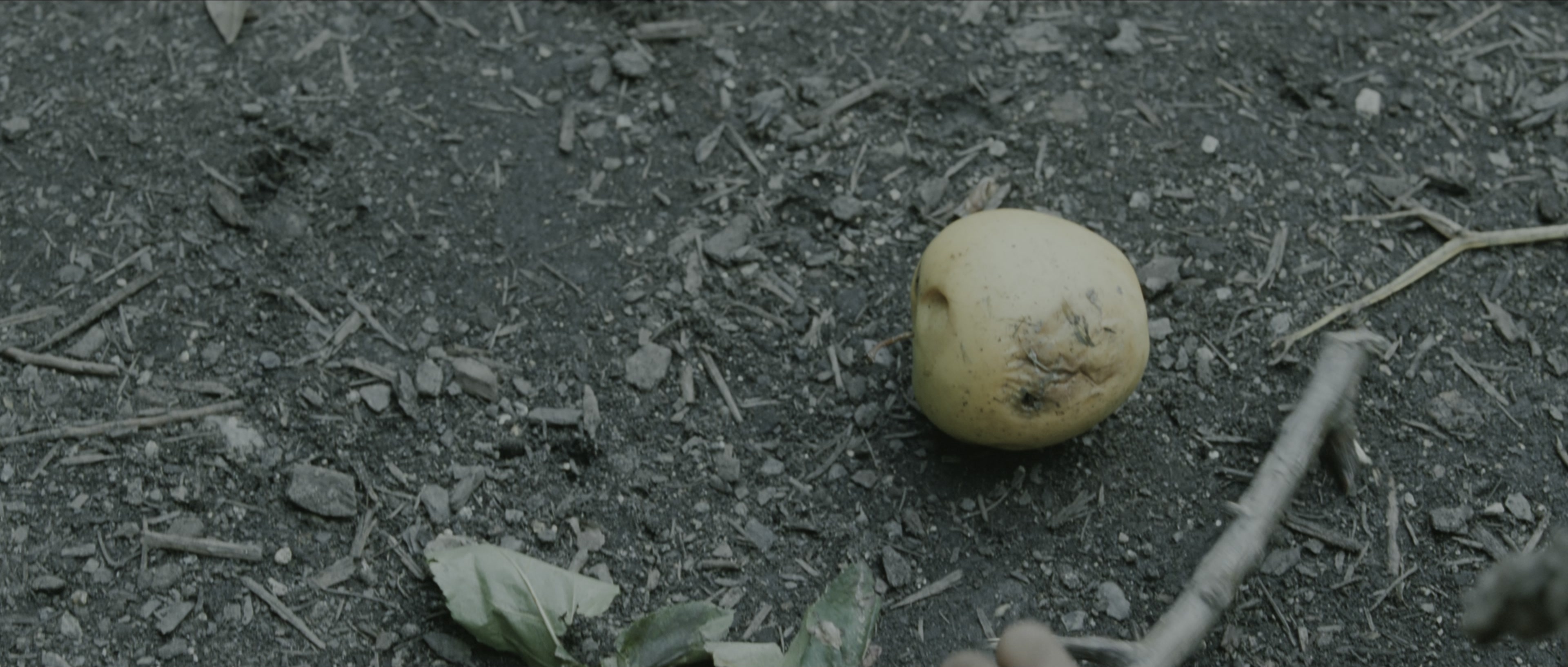 Perfume: The Story of a Murderer (2006), wide, 2.35:1 — film still