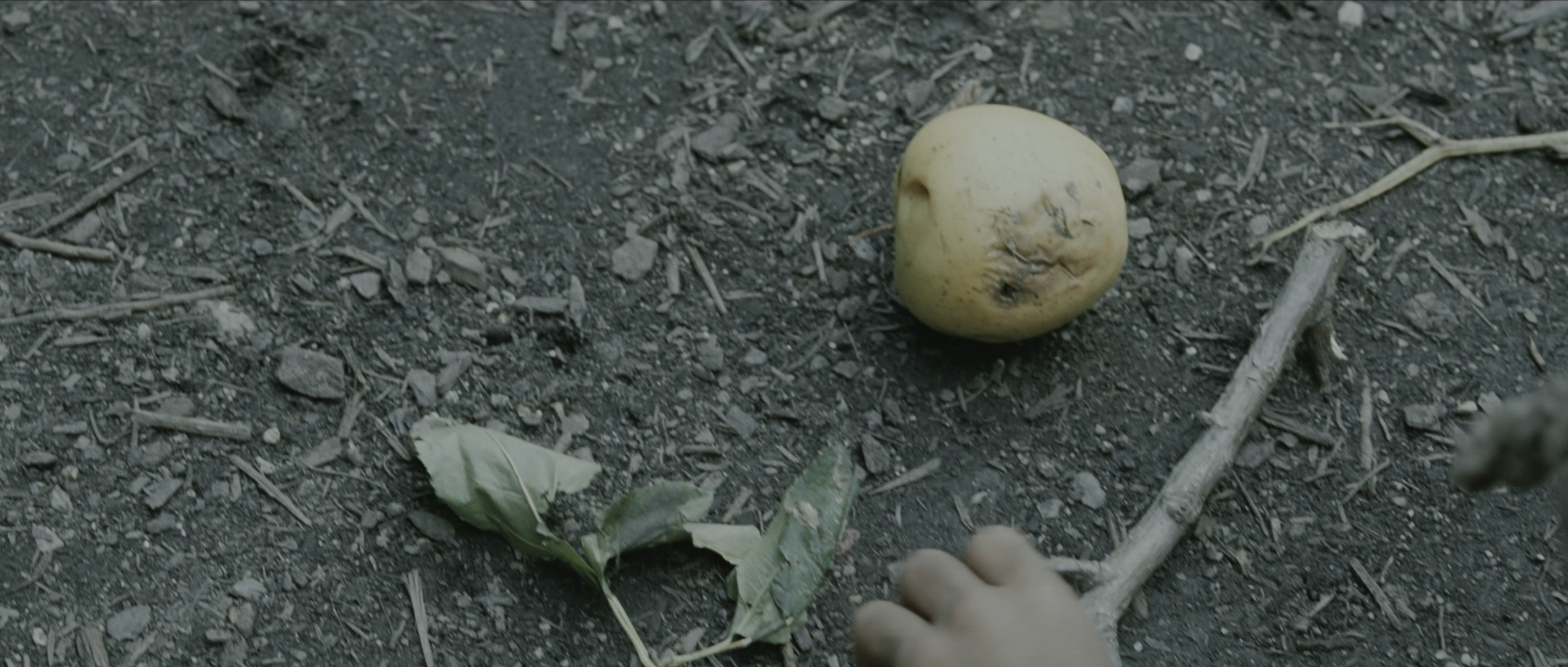 Perfume: The Story of a Murderer (2006), wide, 2.35:1 — film still