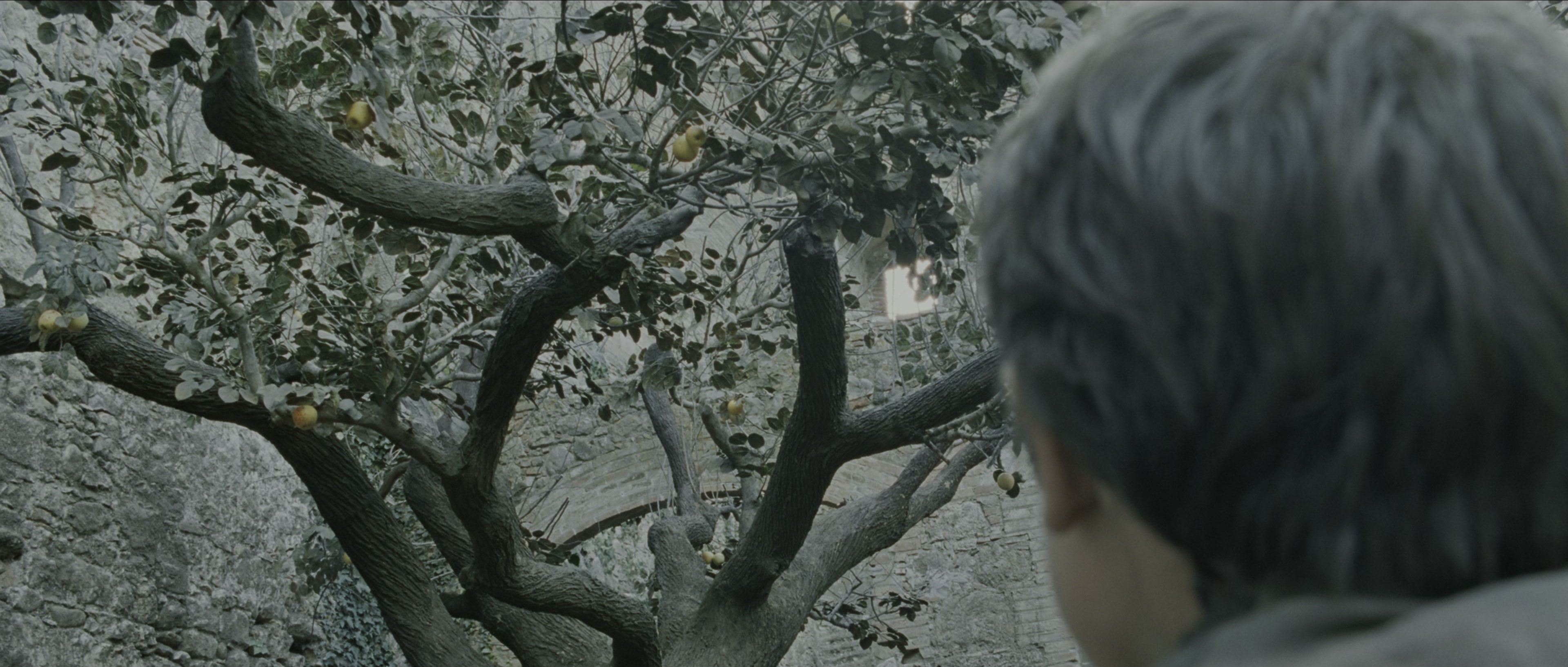 Perfume: The Story of a Murderer (2006), wide, 2.35:1 — film still