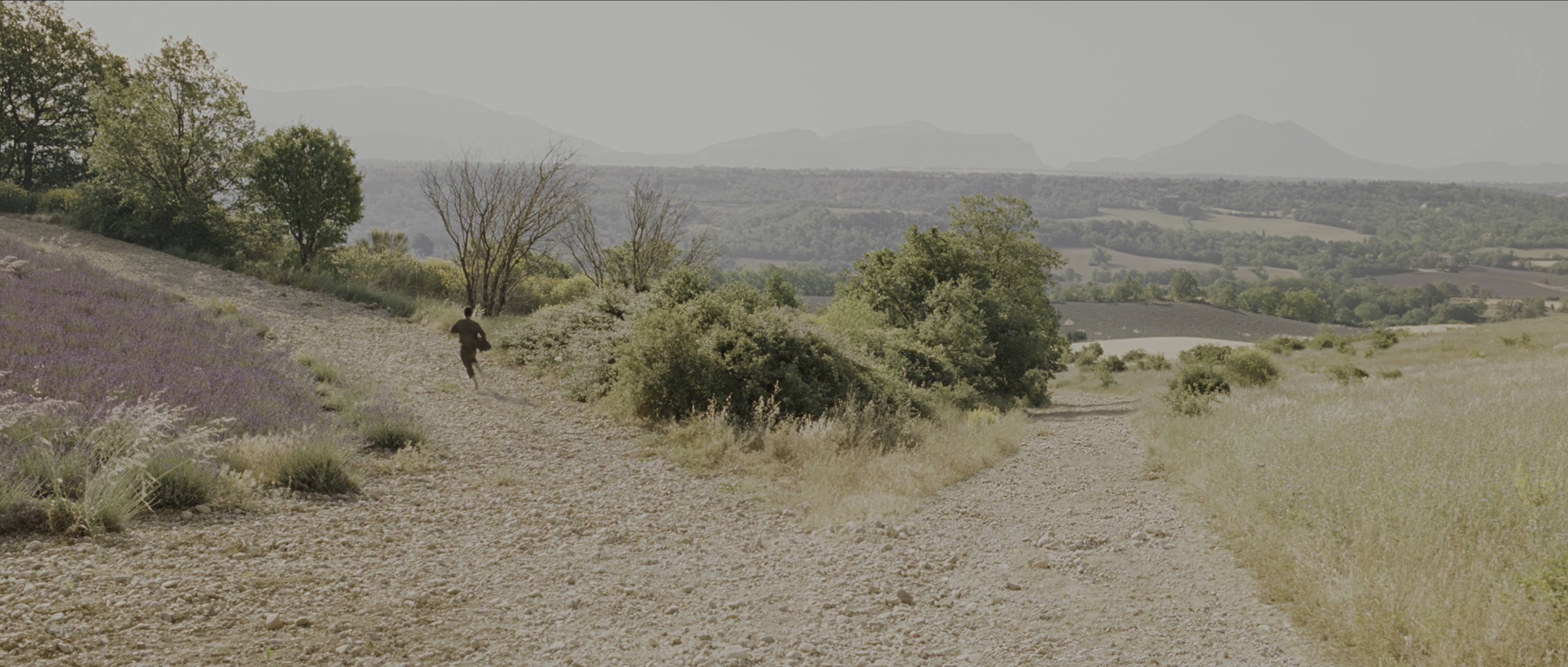 Perfume: The Story of a Murderer (2006), wide, 2.35:1 — film still