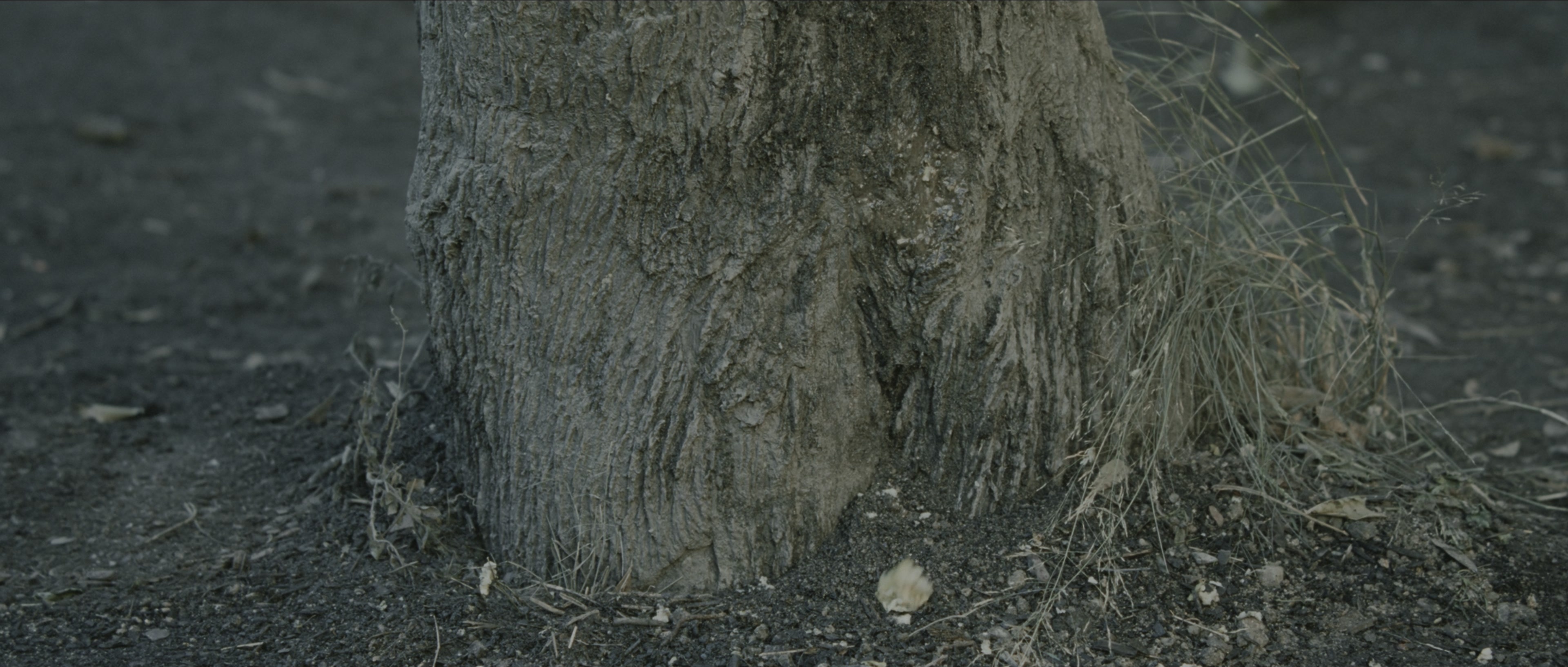 Perfume: The Story of a Murderer (2006), wide, 2.35:1 — film still