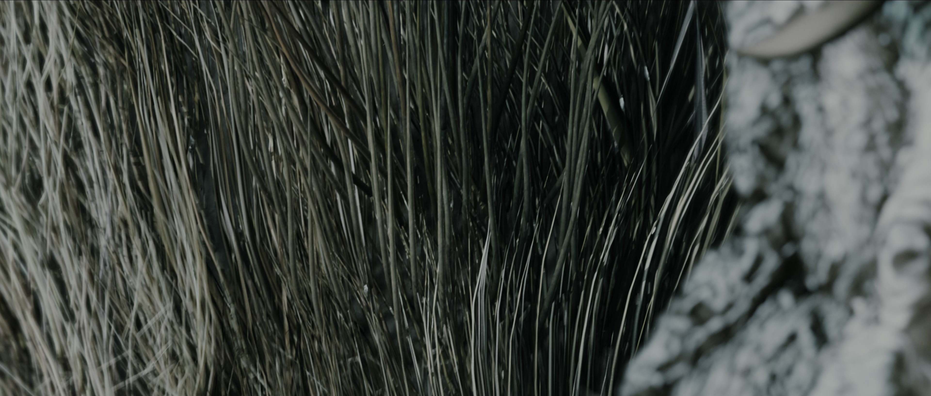 Perfume: The Story of a Murderer (2006), wide, 2.35:1 — film still