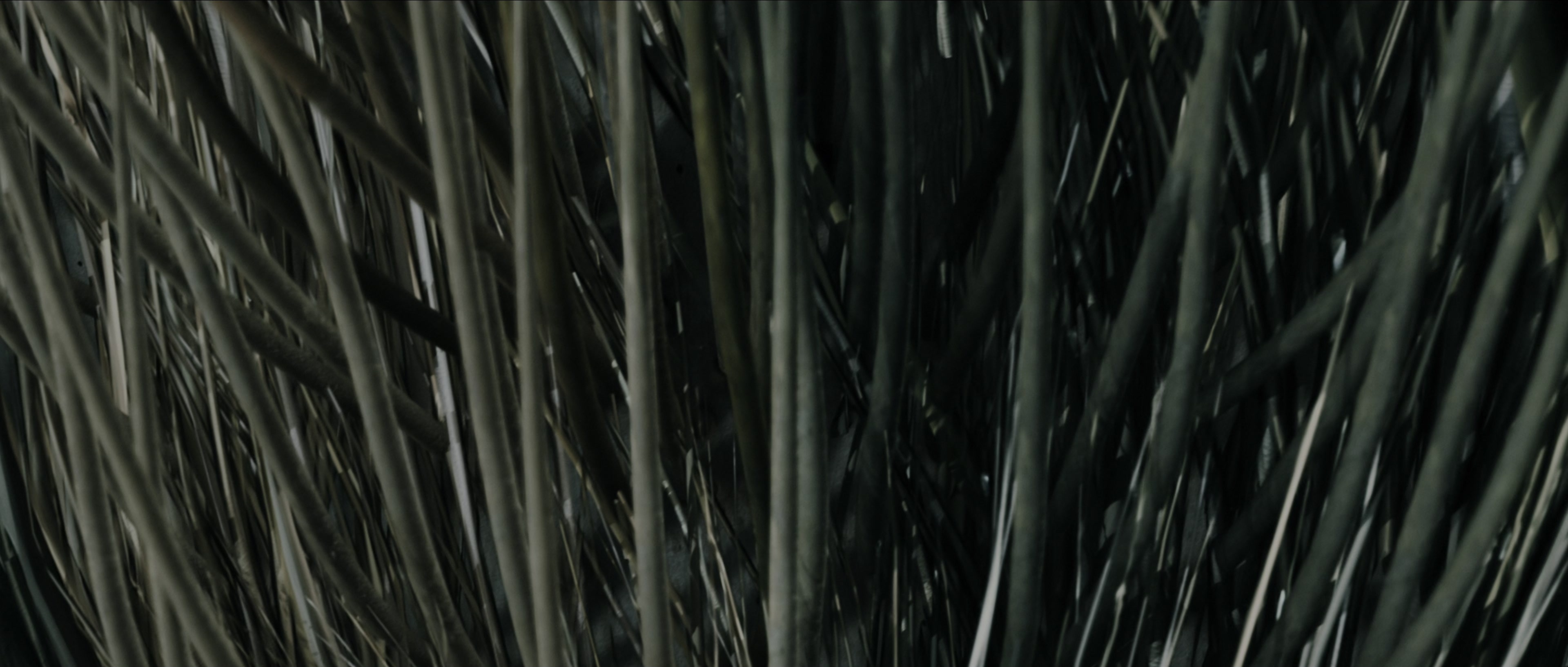 Perfume: The Story of a Murderer (2006), wide, 2.35:1 — film still