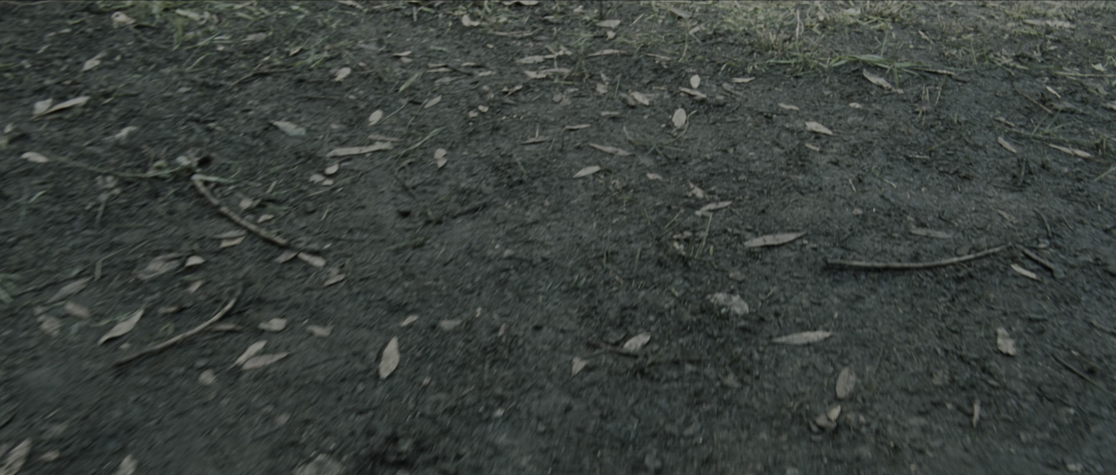 Perfume: The Story of a Murderer (2006), wide, 2.35:1 — film still
