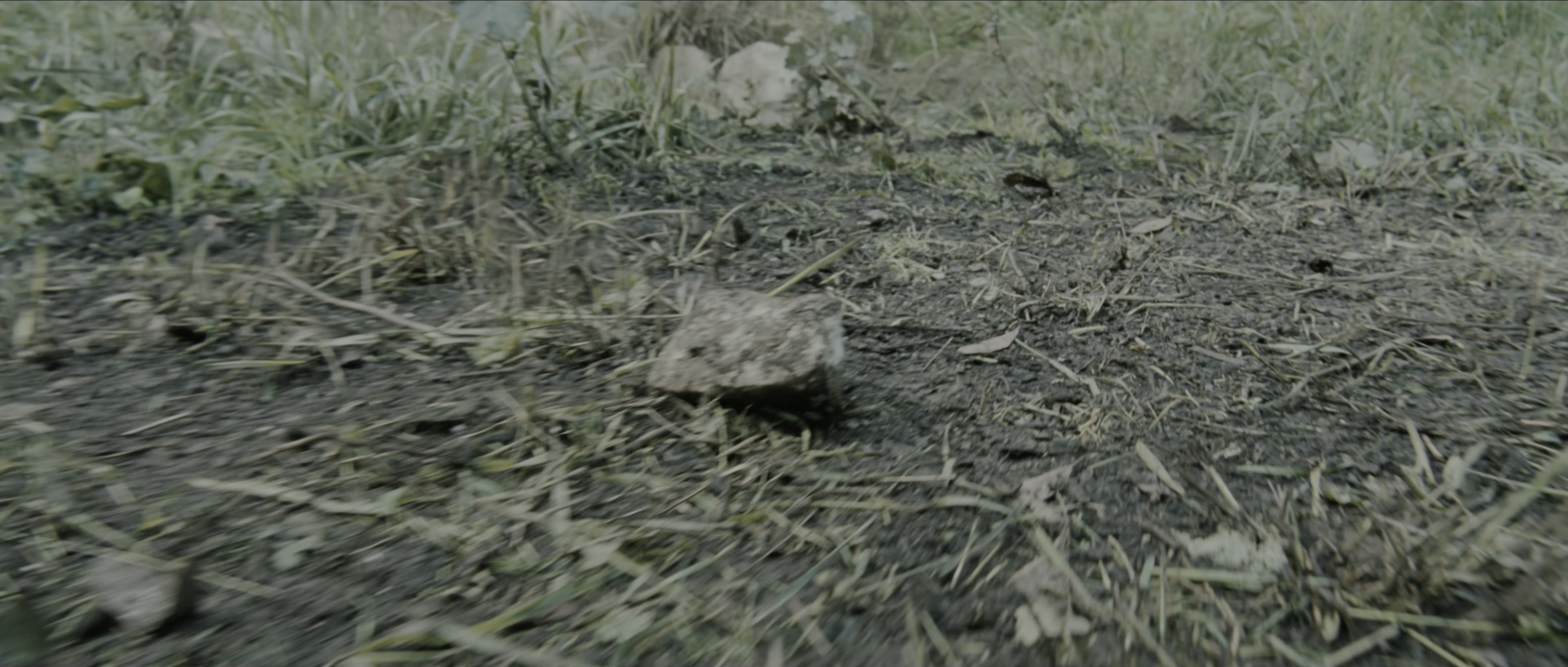 Perfume: The Story of a Murderer (2006), wide, 2.35:1 — film still