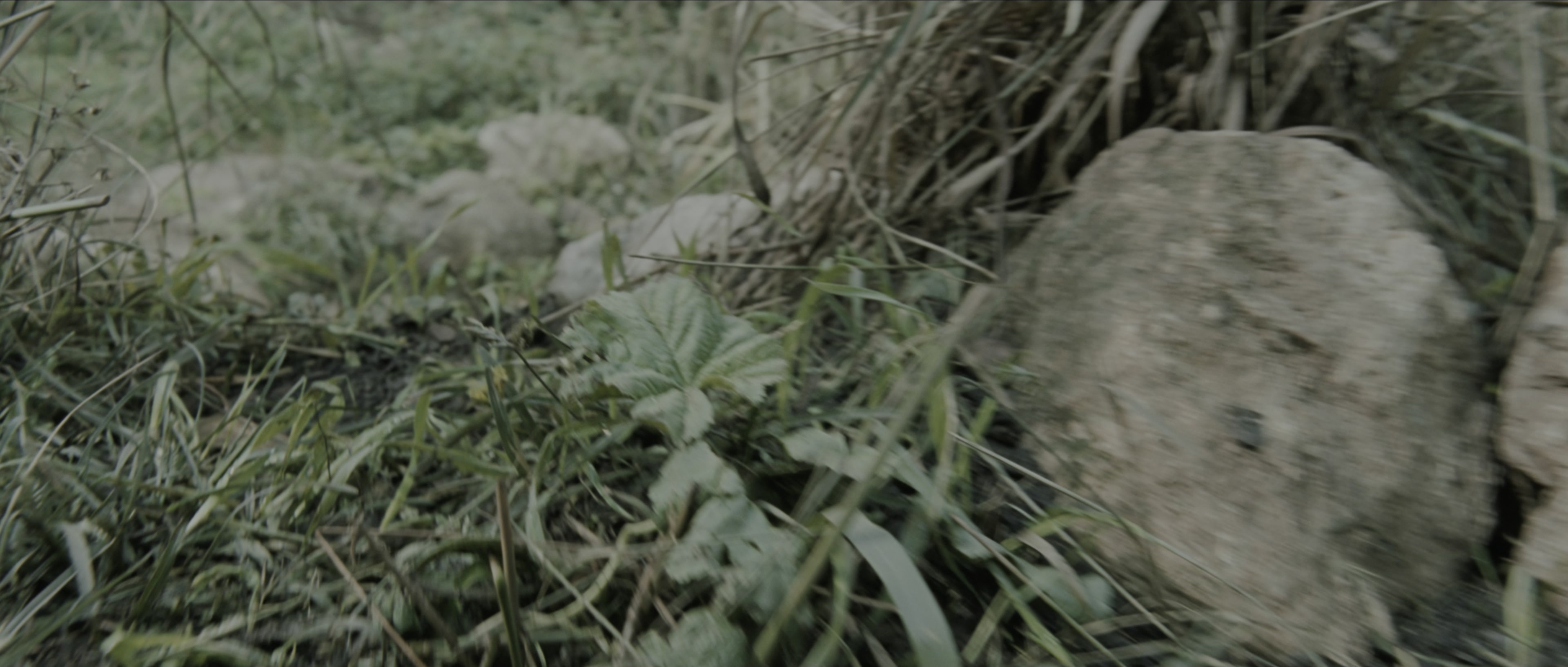 Perfume: The Story of a Murderer (2006), wide, 2.35:1 — film still