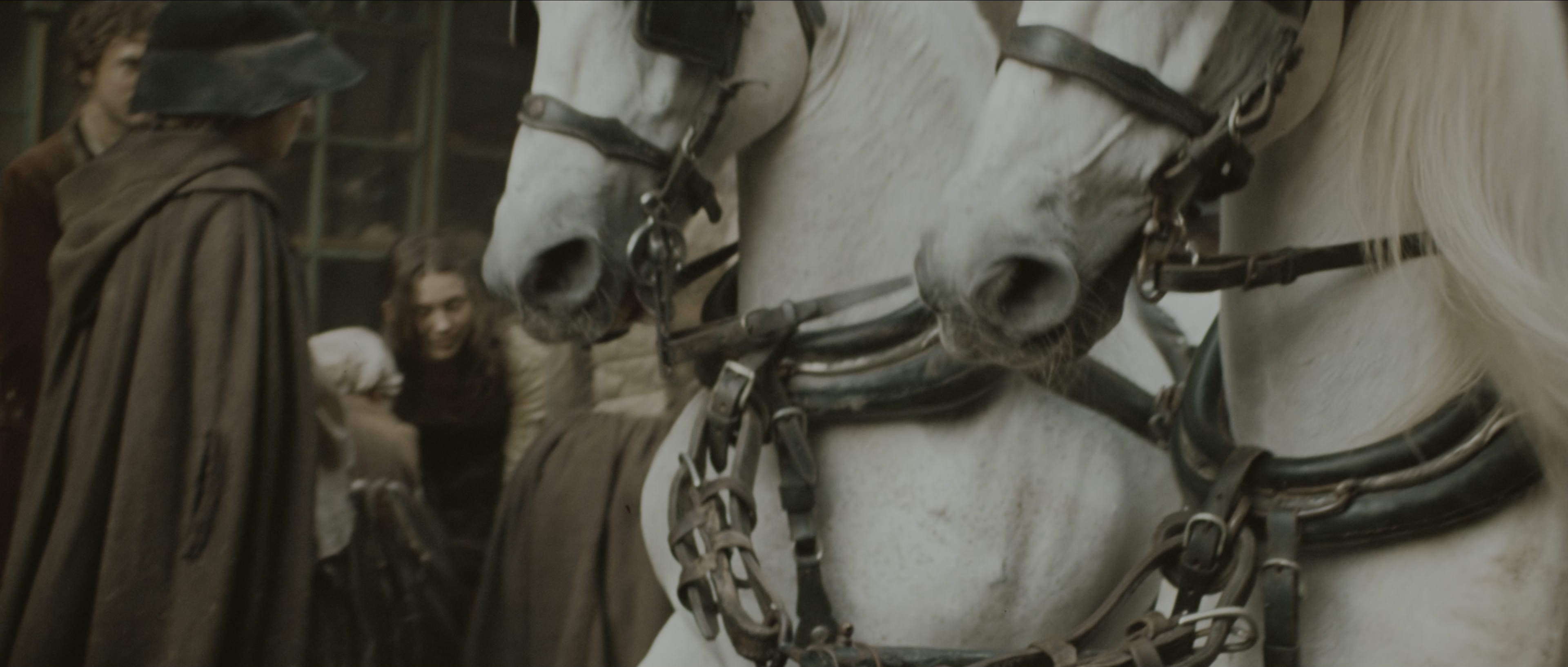 Perfume: The Story of a Murderer (2006), wide, 2.35:1 — film still
