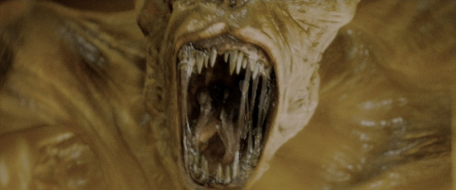 Wide shot frame from Constantine — animal