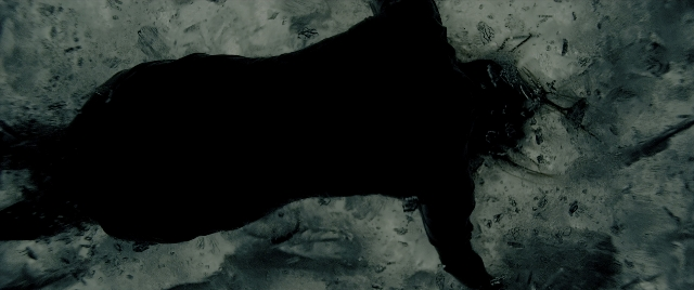 Wide shot frame from Constantine — animal, water, person