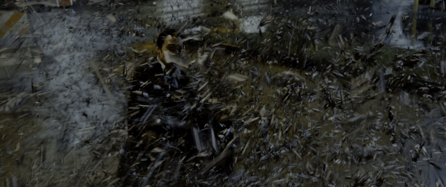 Wide shot frame from Constantine — animal