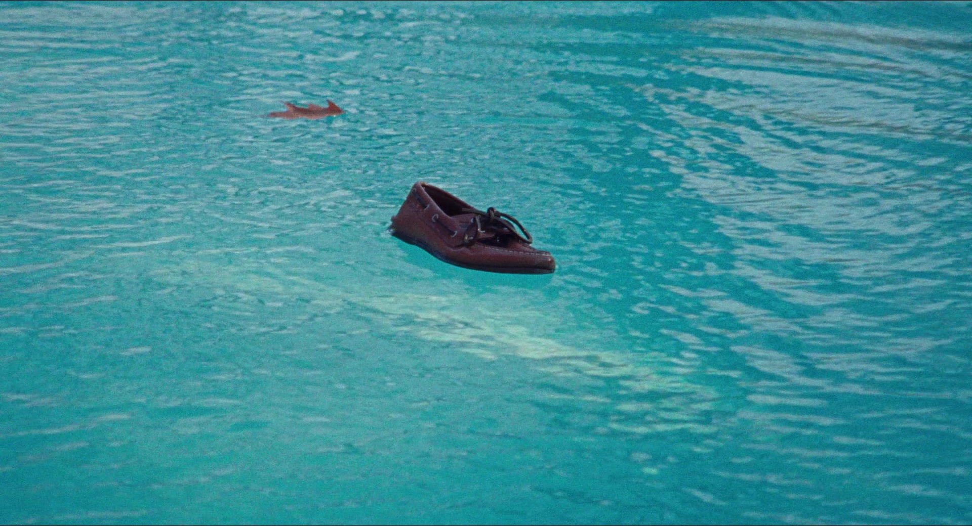 Dream Scenario (2023), wide, 1.85:1 — film still