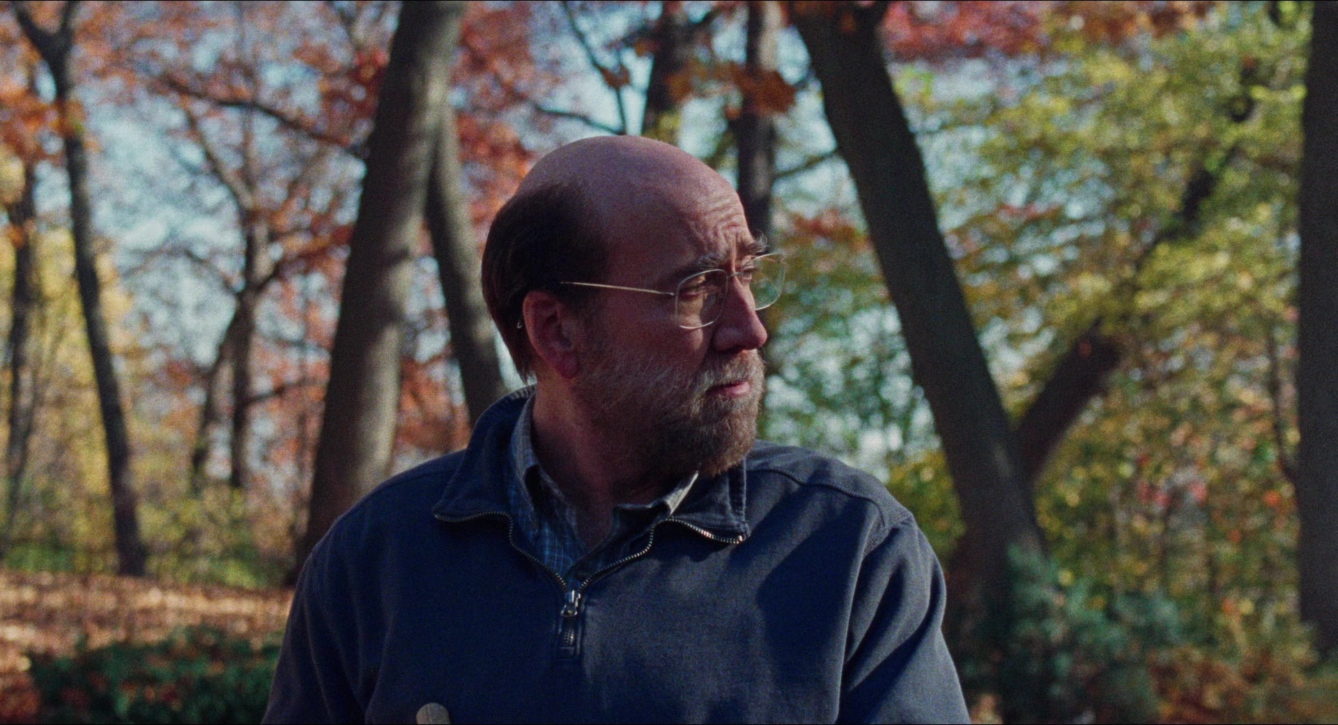 Dream Scenario (2023), wide, 1.85:1 — film still