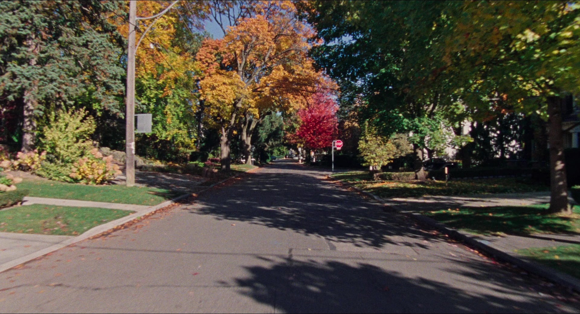 Dream Scenario (2023), unknown, 1.85:1 — film still