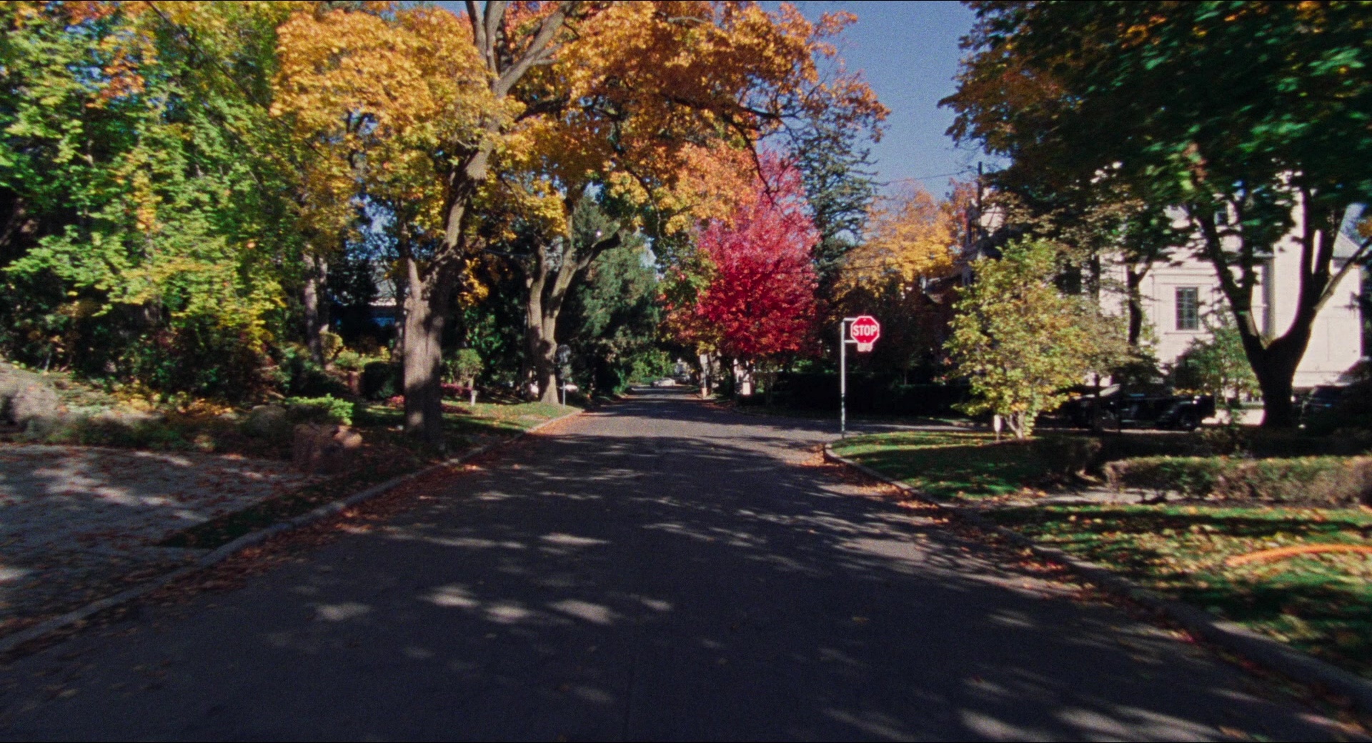 Dream Scenario (2023), wide, 1.85:1 — film still