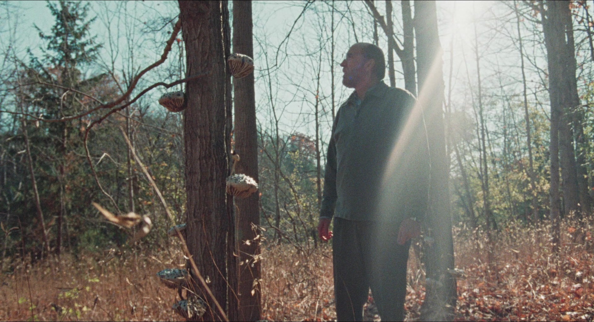 Dream Scenario (2023), wide, 1.85:1 — film still