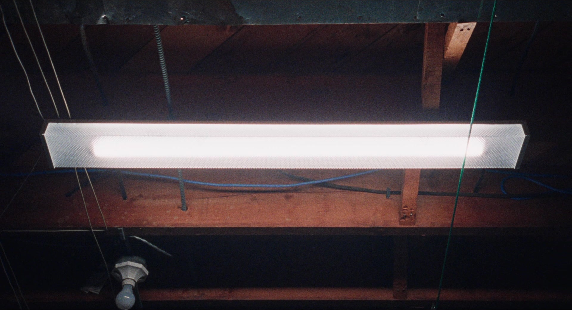Dream Scenario (2023), wide, 1.85:1 — film still