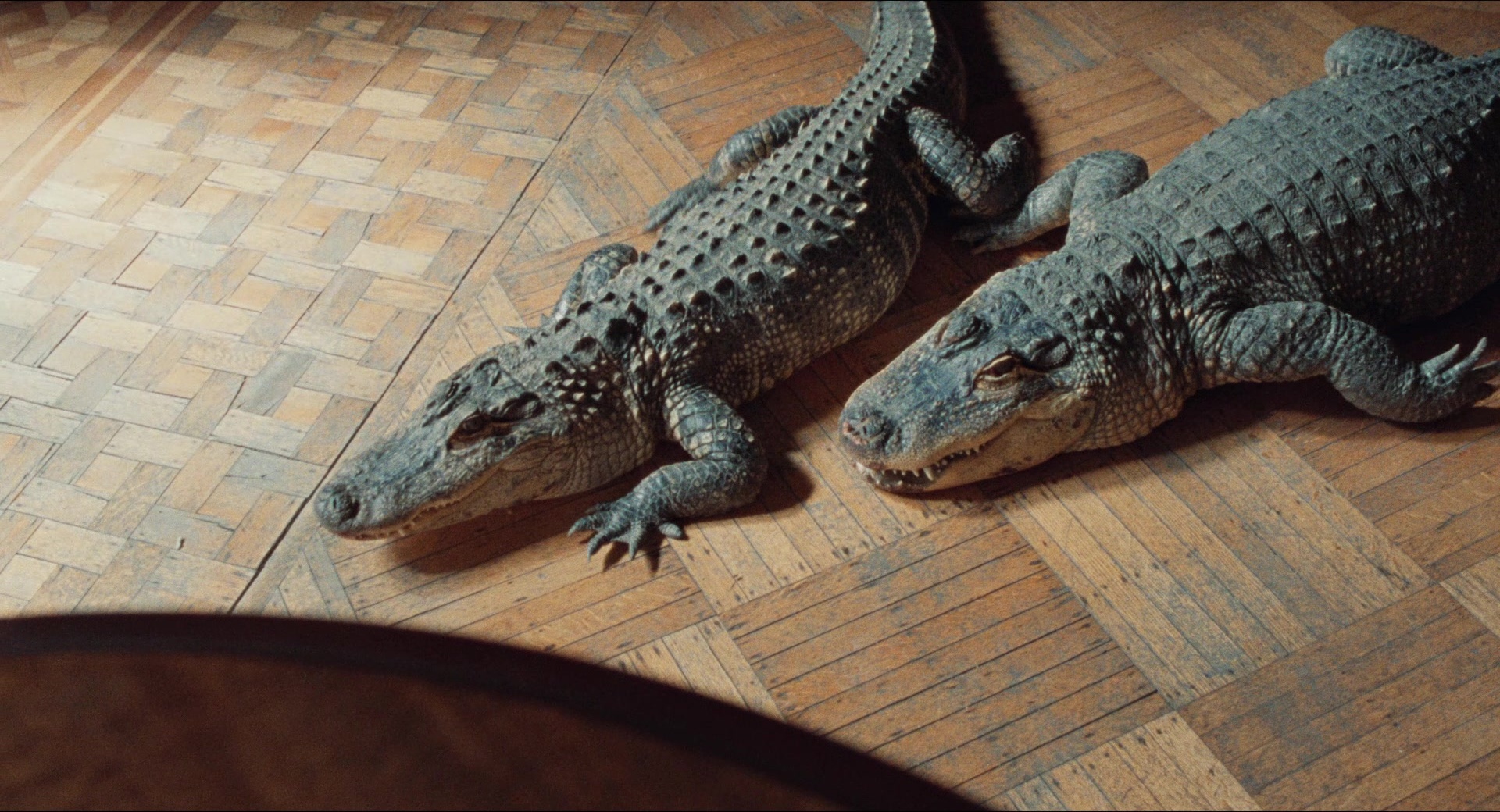 Dream Scenario (2023), wide, 1.85:1 — film still