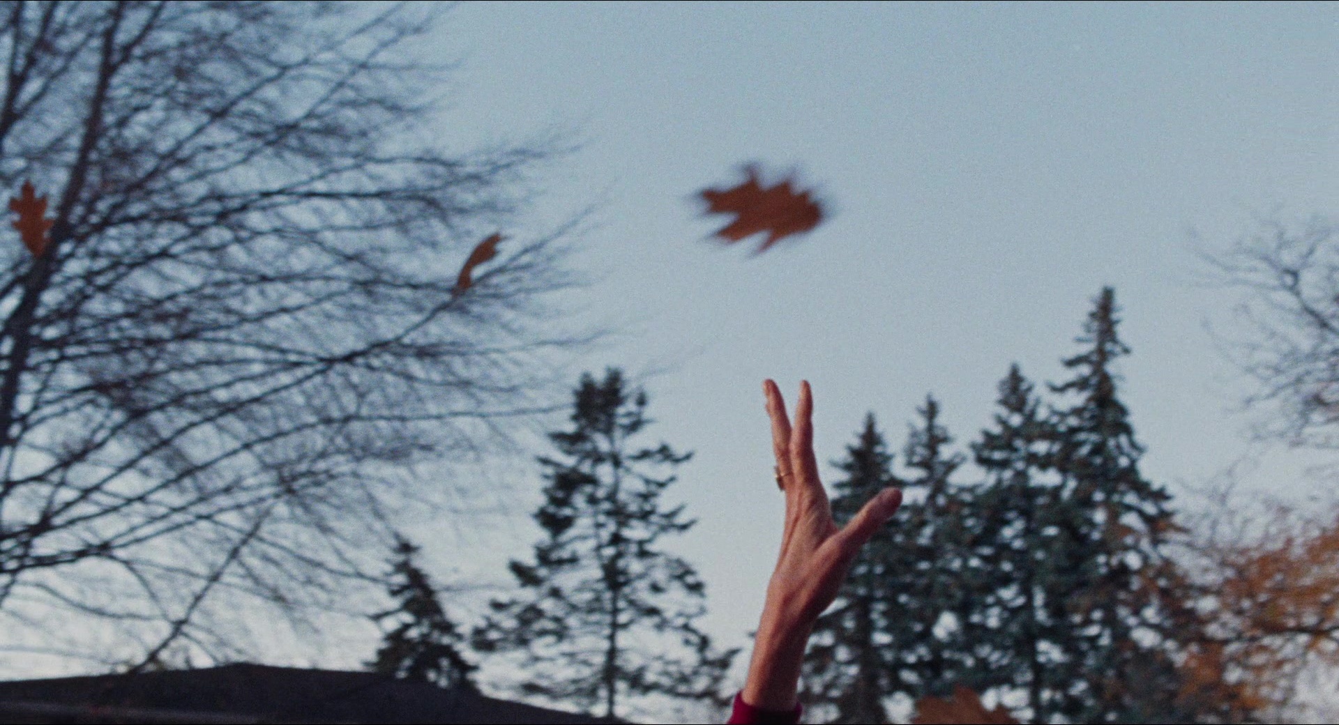 Dream Scenario (2023), wide, 1.85:1 — film still