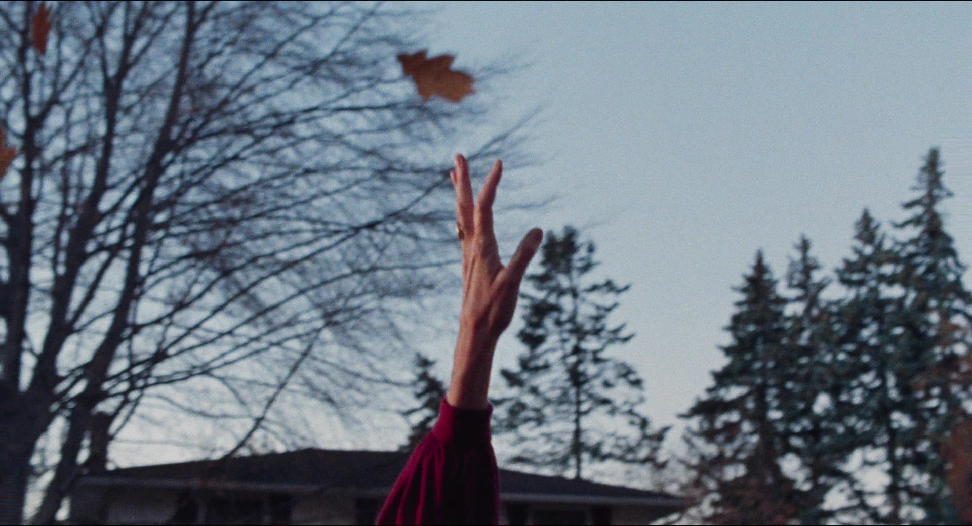 Dream Scenario (2023), wide, 1.85:1 — film still