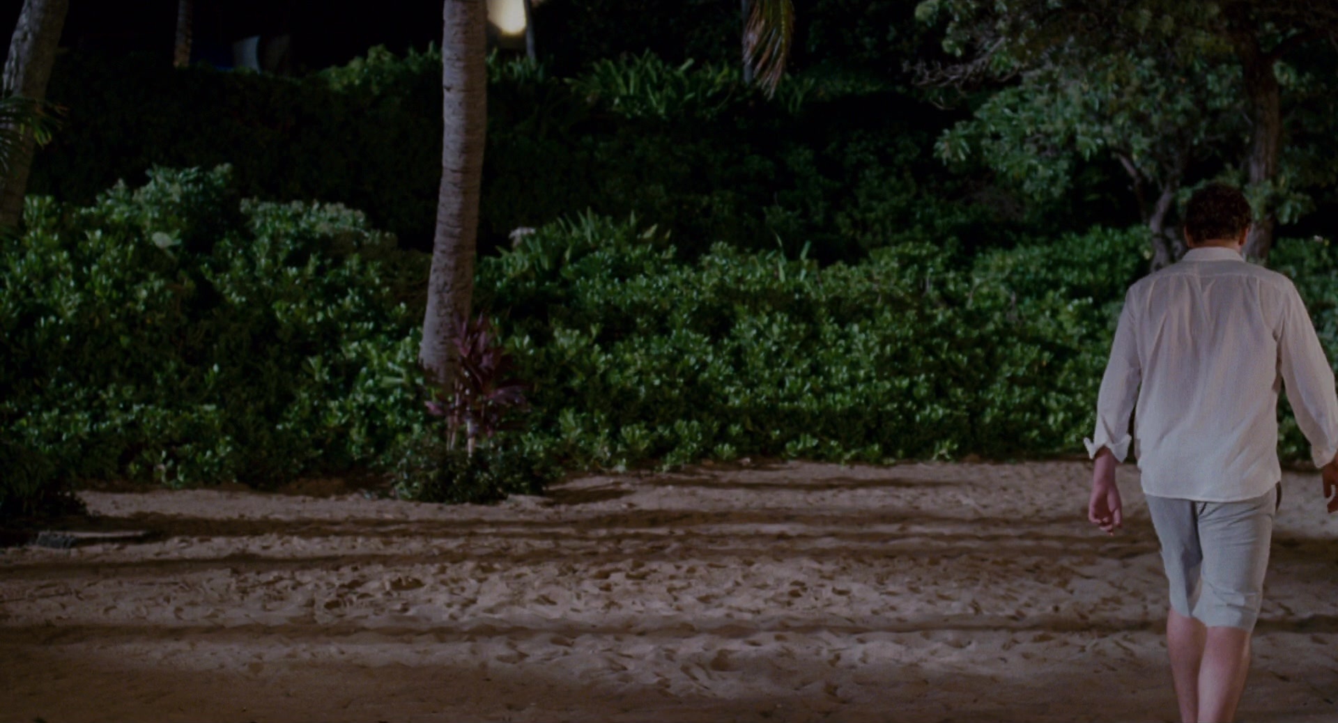 Forgetting Sarah Marshall (2008), wide, 1.85:1 — film still