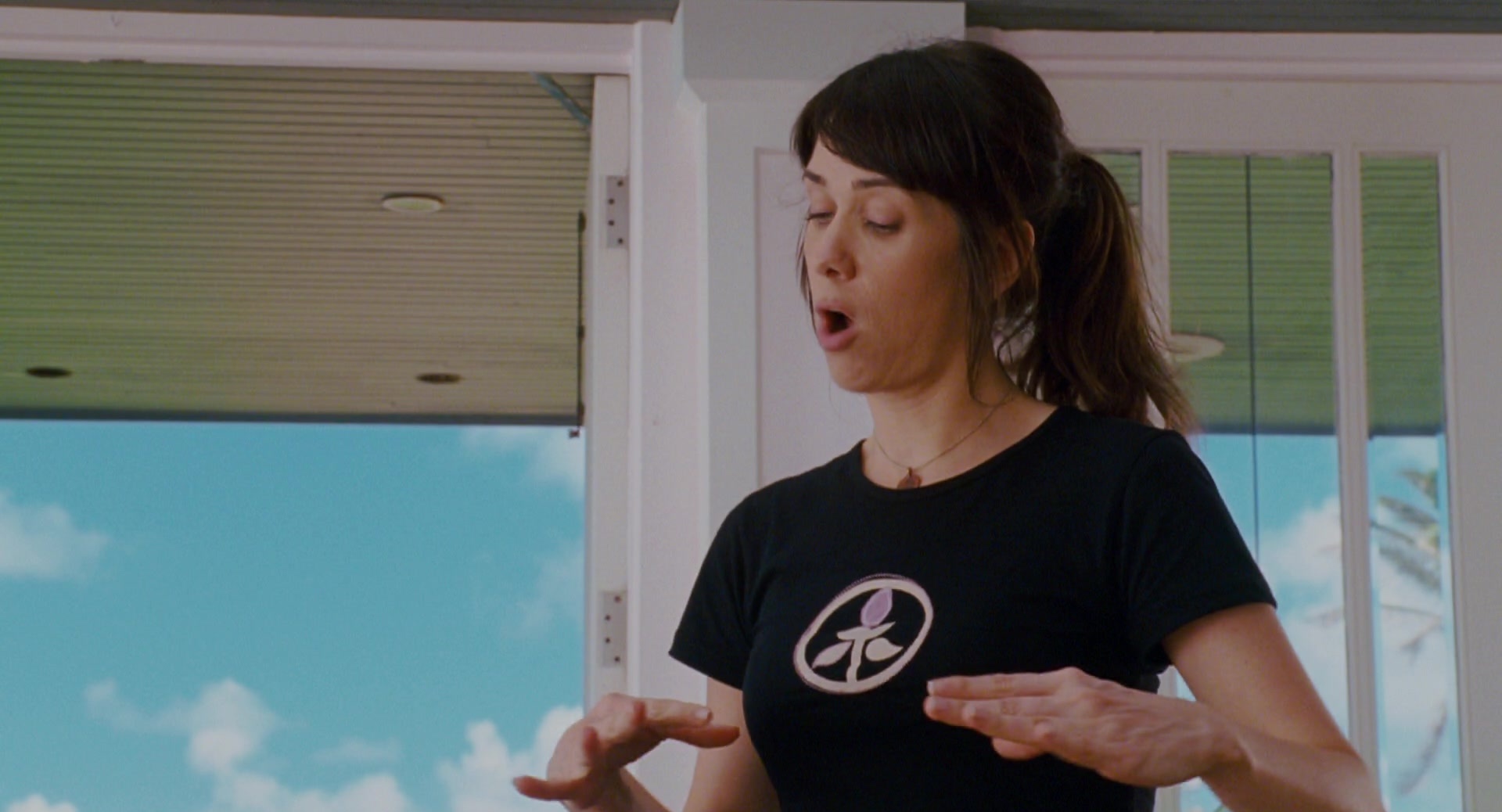Forgetting Sarah Marshall (2008), wide, 1.85:1 — film still