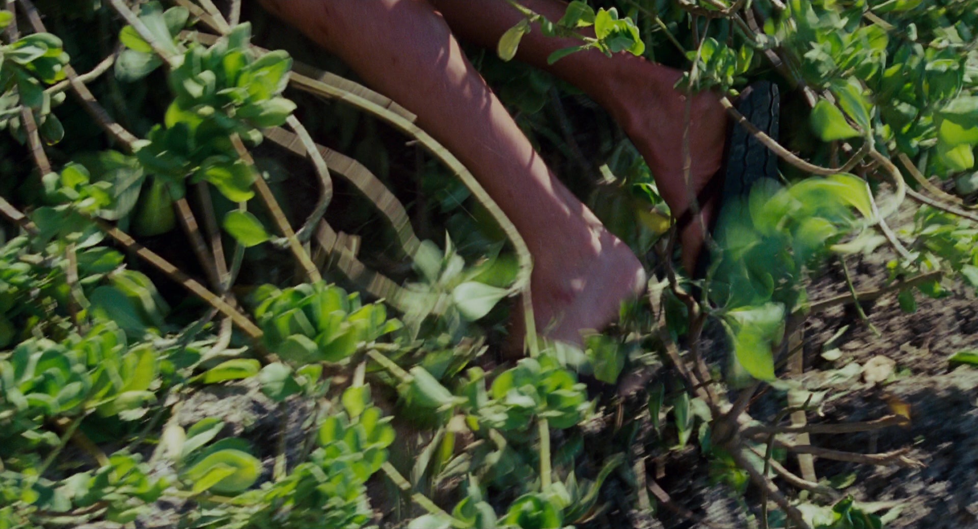 Forgetting Sarah Marshall (2008), wide, 1.85:1 — film still