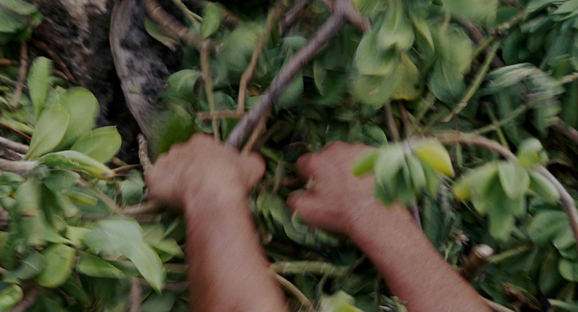 Forgetting Sarah Marshall (2008), wide, 1.85:1 — film still