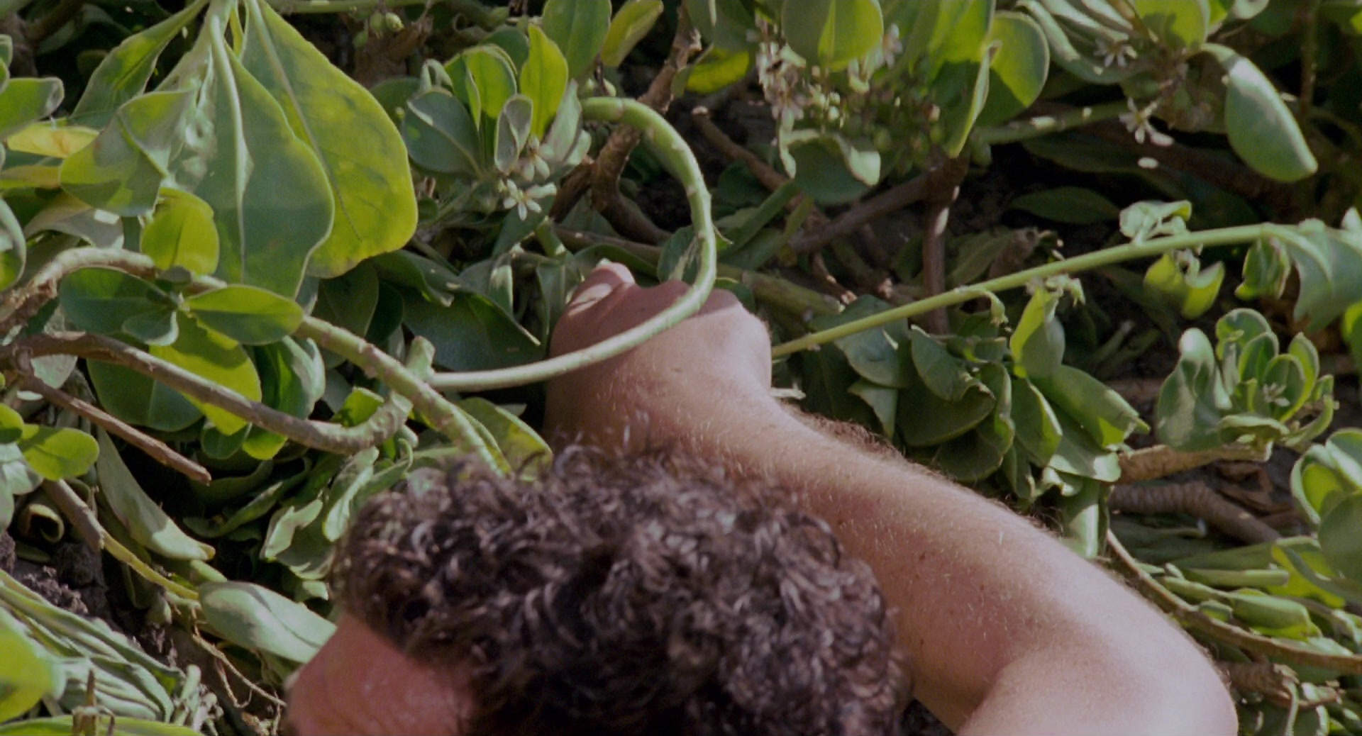 Forgetting Sarah Marshall (2008), wide, 1.85:1 — film still