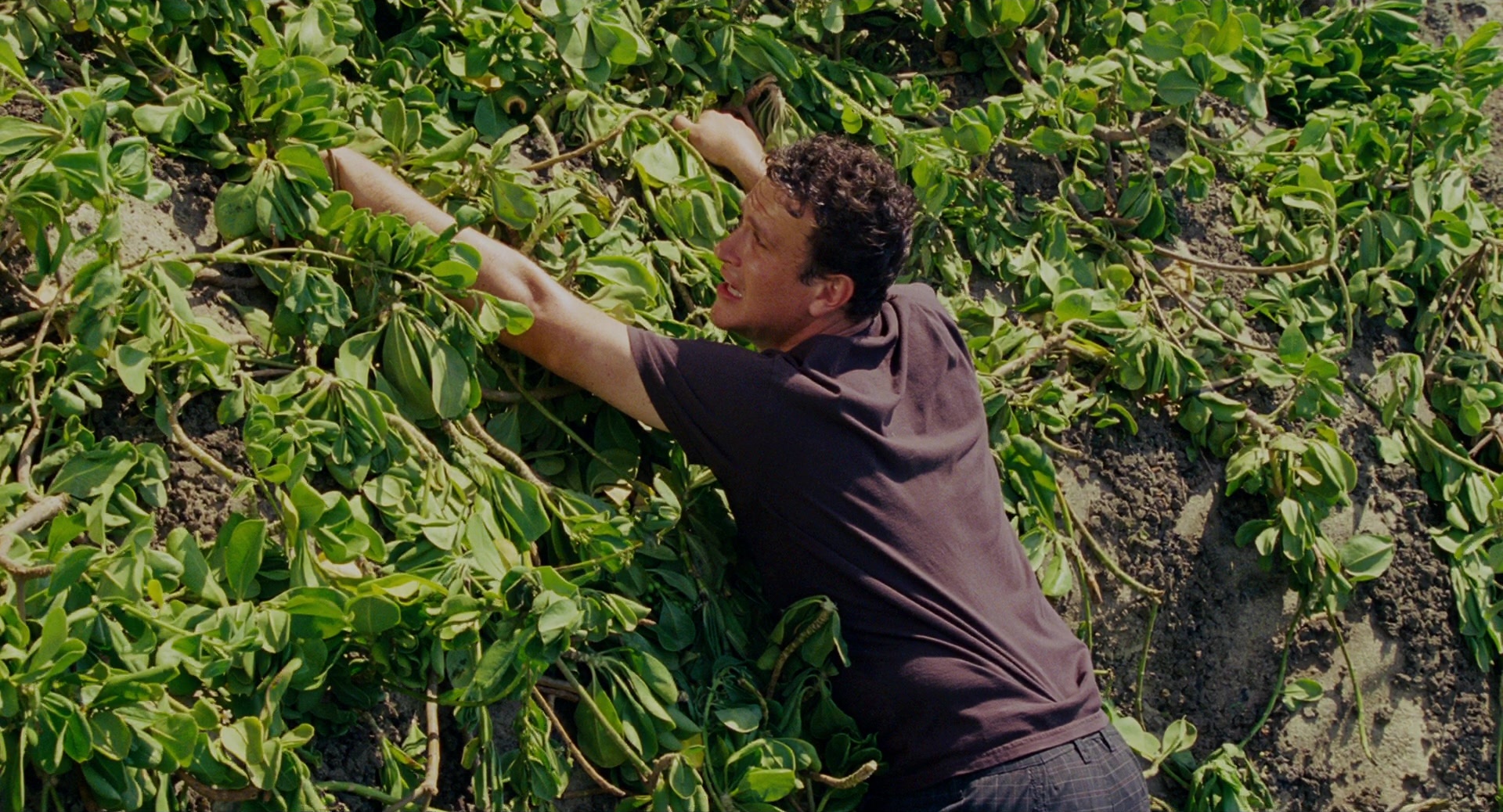 Forgetting Sarah Marshall (2008), wide, 1.85:1 — film still
