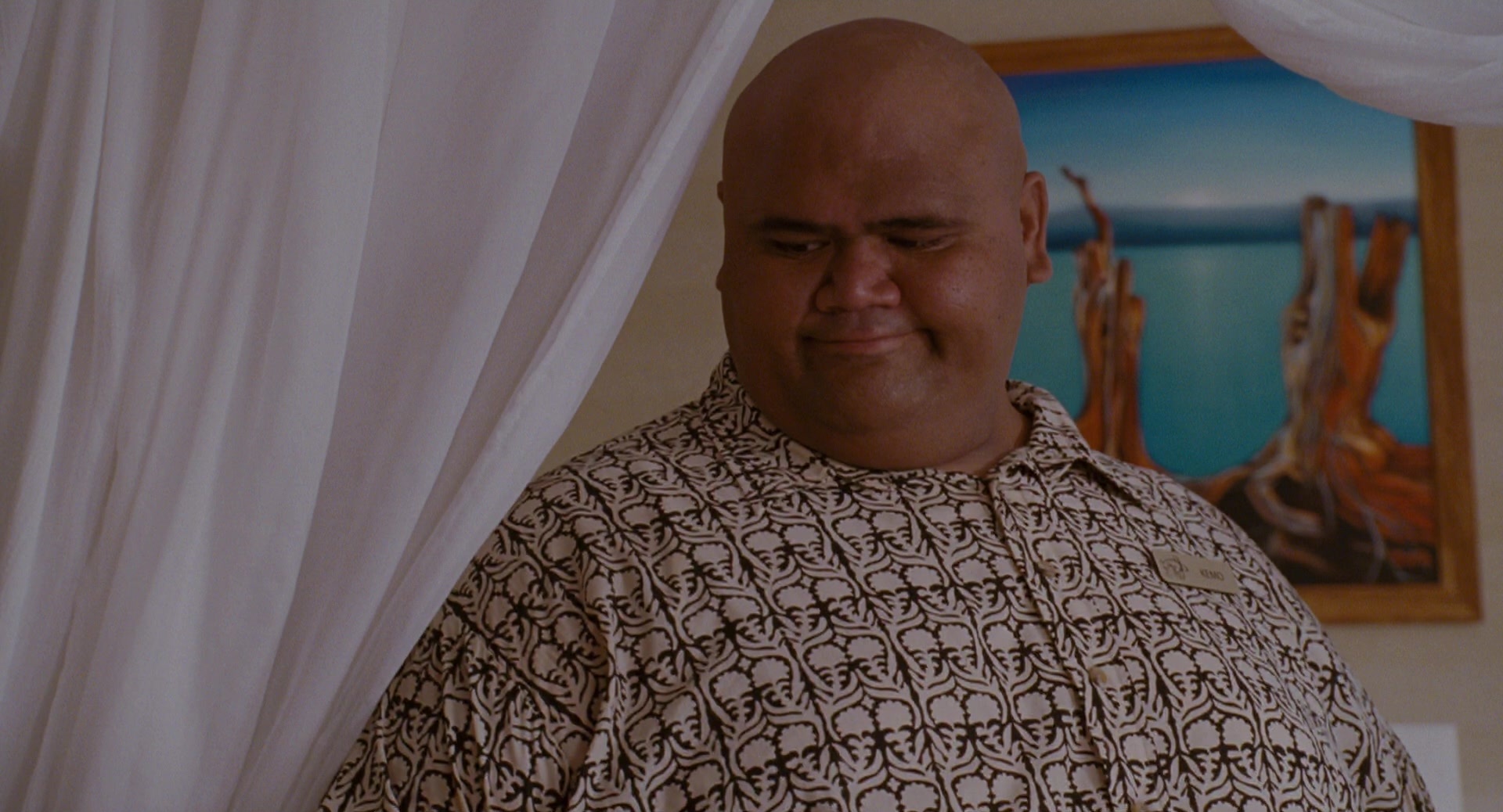 Forgetting Sarah Marshall (2008), wide, 1.85:1 — film still