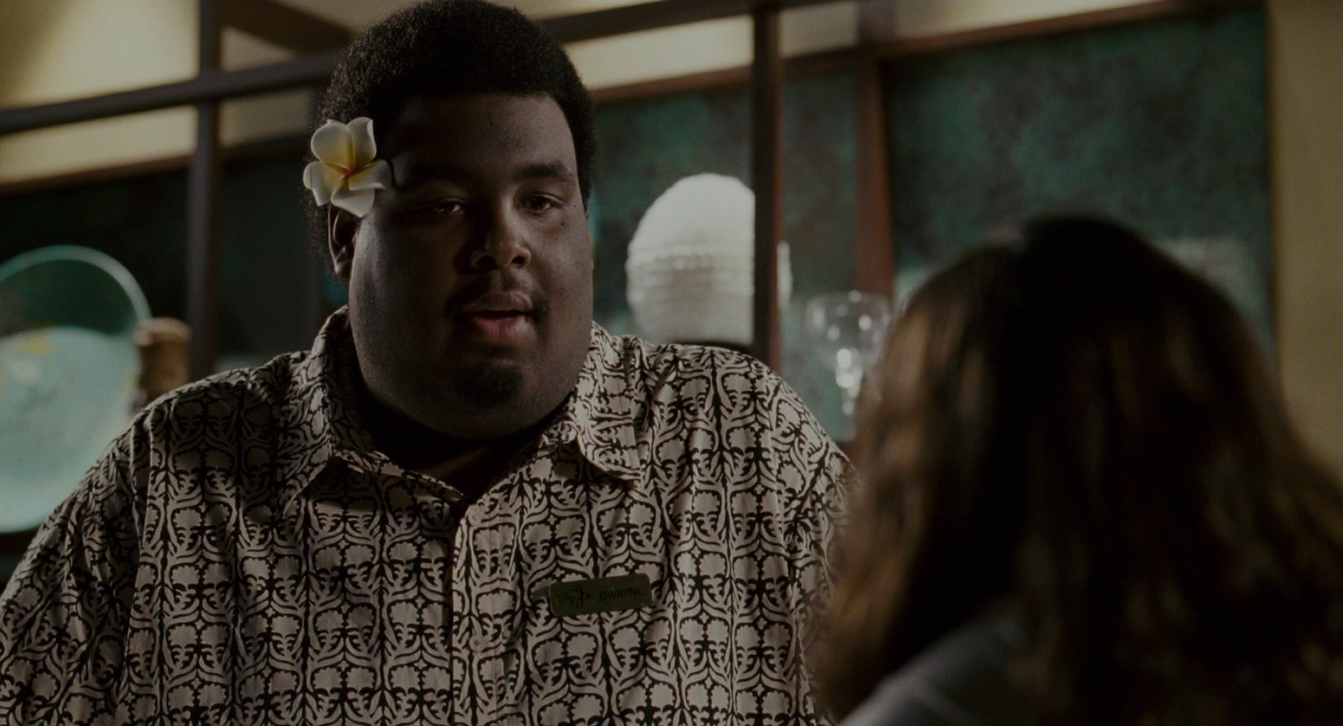 Forgetting Sarah Marshall (2008), medium, 1.85:1 — film still