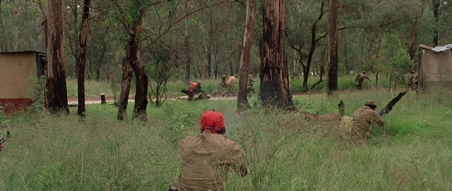 seria-6568437.jpg