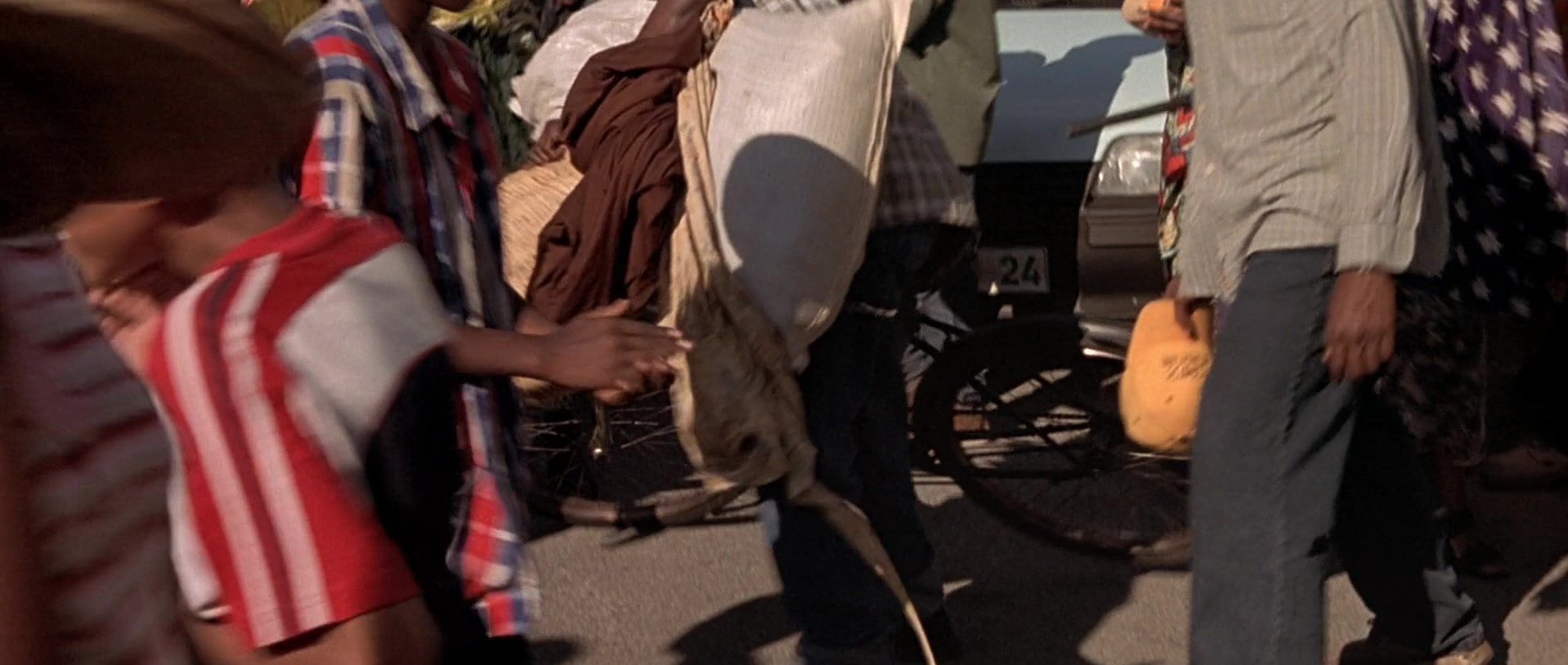 Hotel Rwanda (2004), wide, 2.36:1 — film still