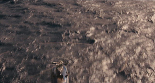 Wide shot frame from Jurassic Park — animal, bird