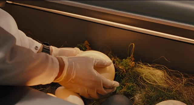 Wide shot frame from Jurassic Park — bed, hand, clock