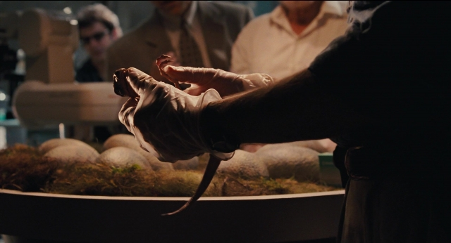 Wide shot frame from Jurassic Park — room, bed, hand
