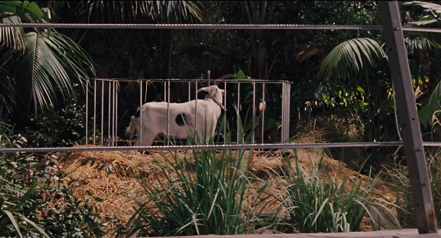 Wide shot frame from Jurassic Park — standing, bed, goat